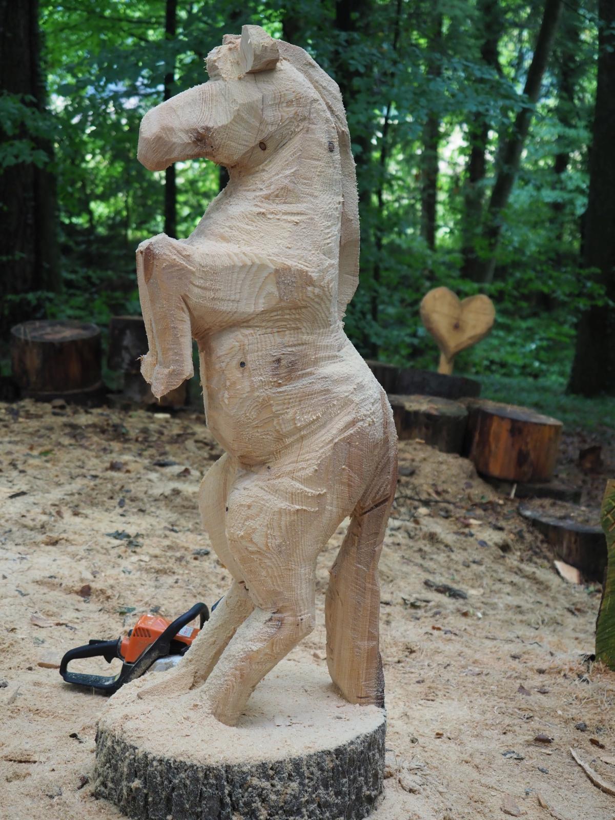 Pferd mach was wotsch 63 20180902 1088178433