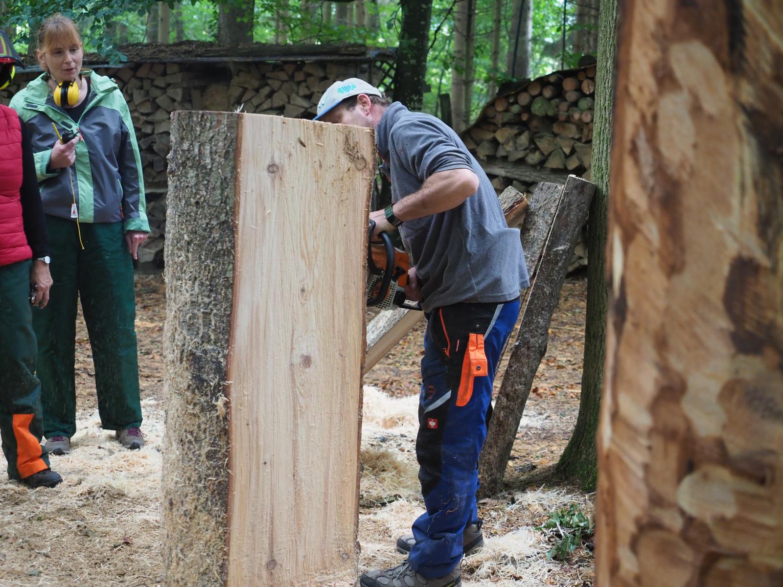 Pferd mach was wotsch 6 20180902 1790384896