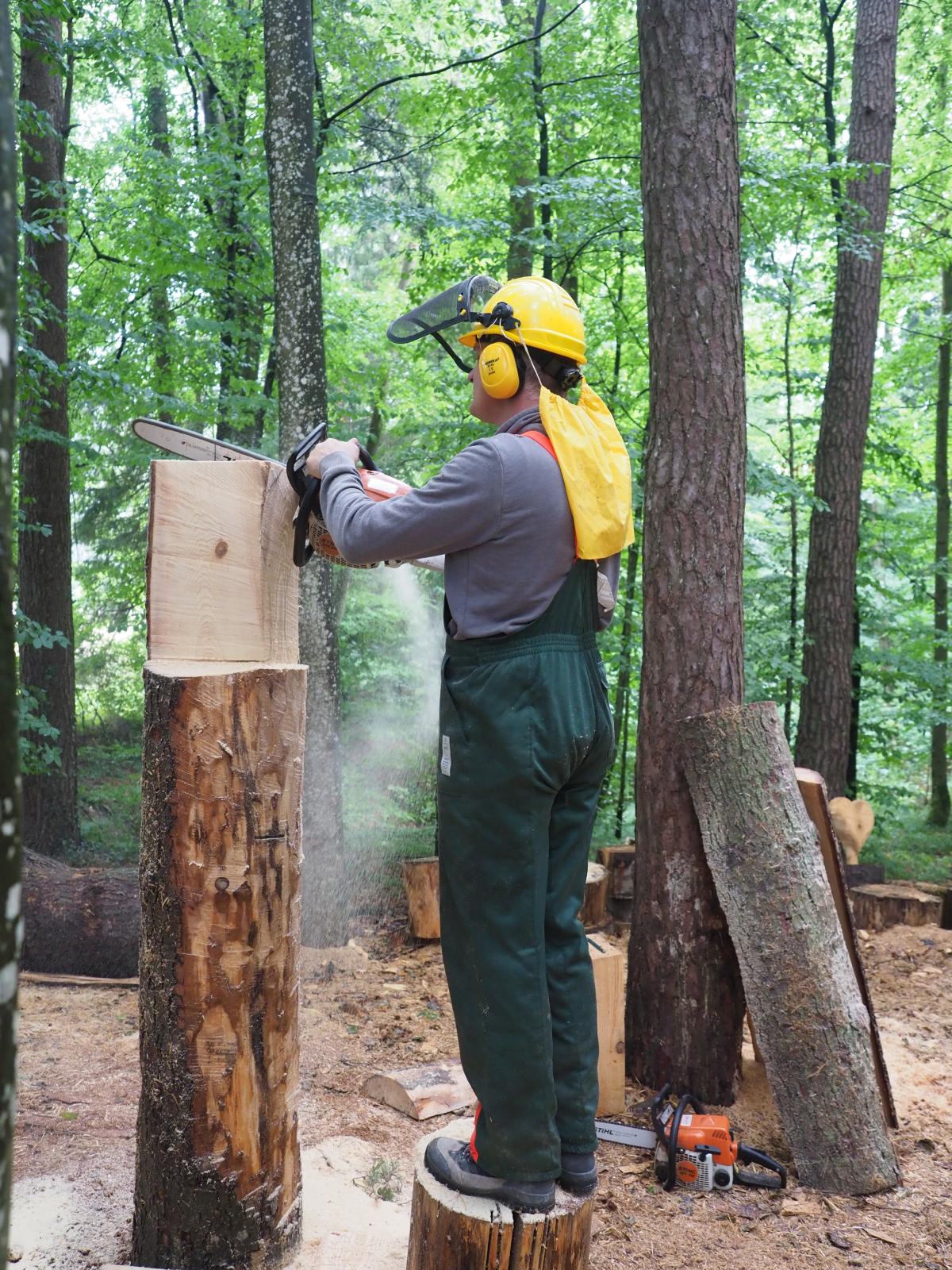 Pferd mach was wotsch 8 20180902 2052516648