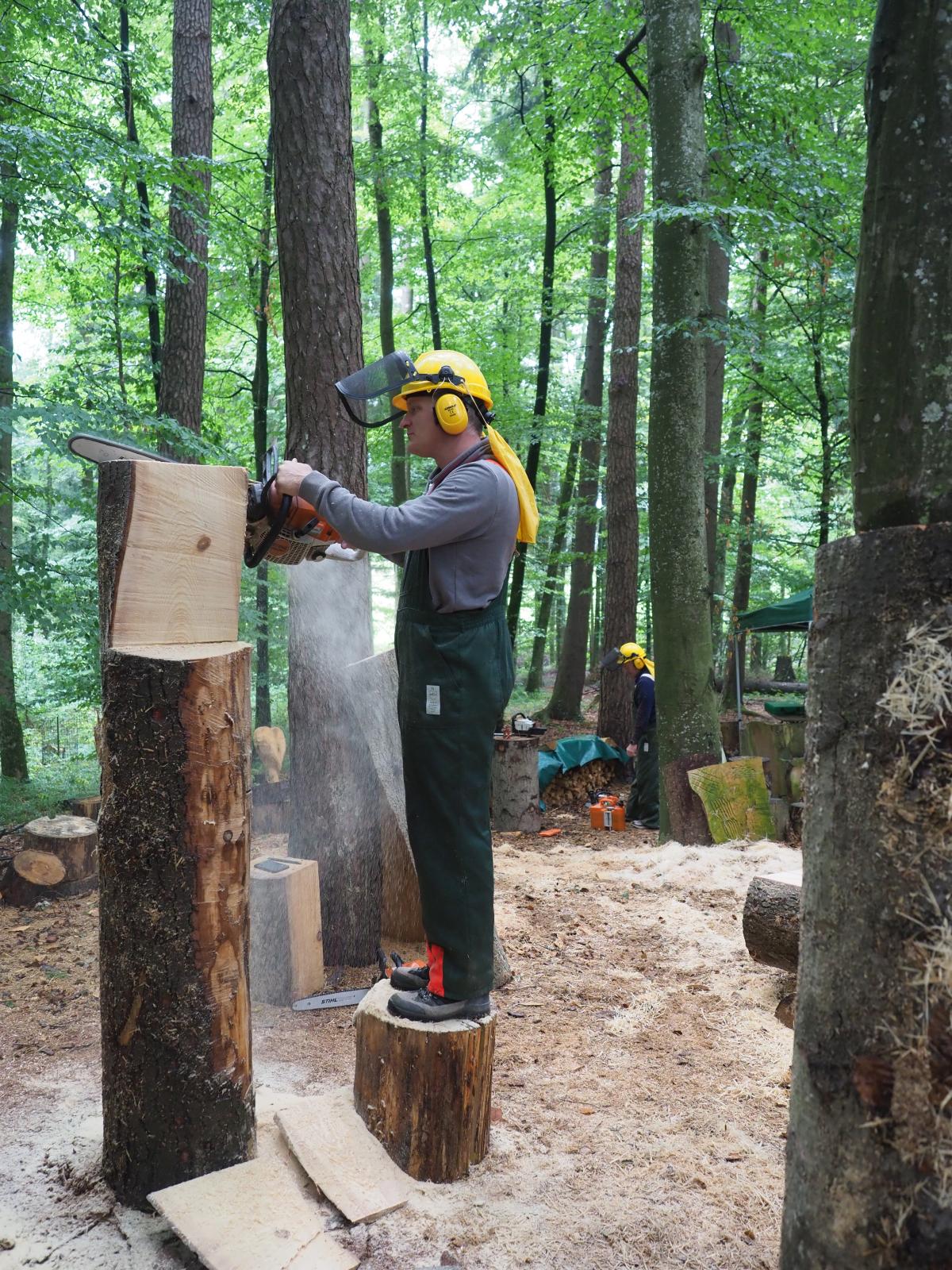 Pferd mach was wotsch 9 20180902 1724421886