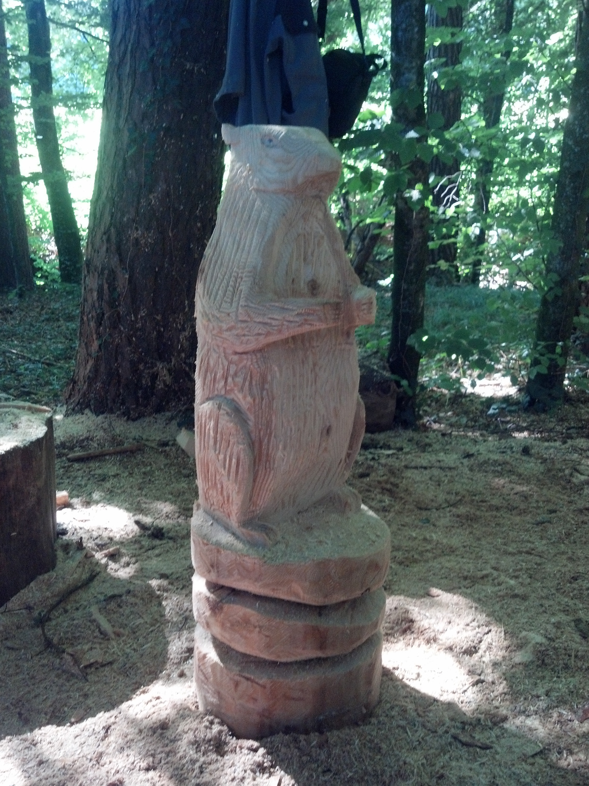 2012 08 18 16 25 01 570