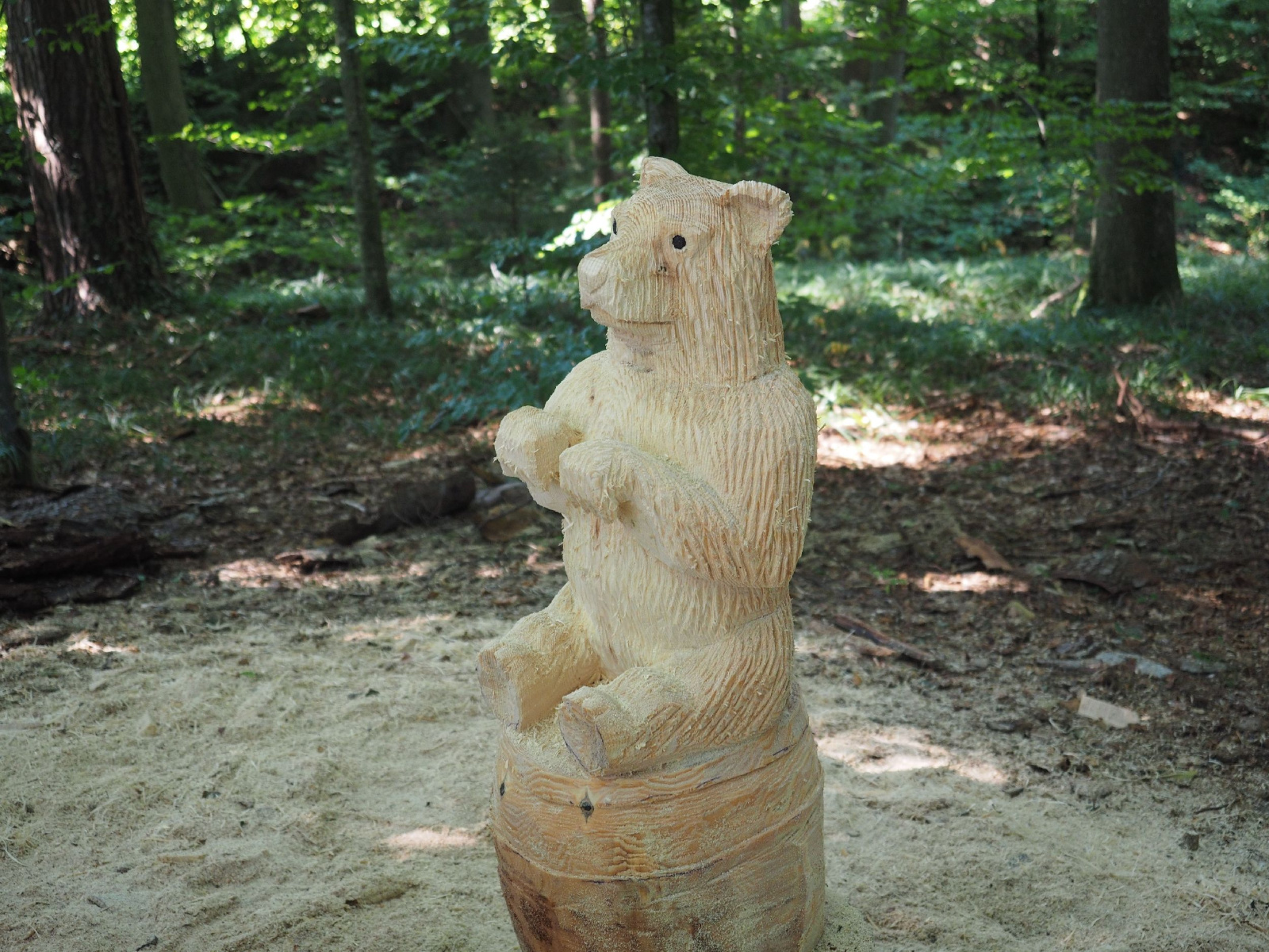 Sitzender baer 10 20160911 1341057923