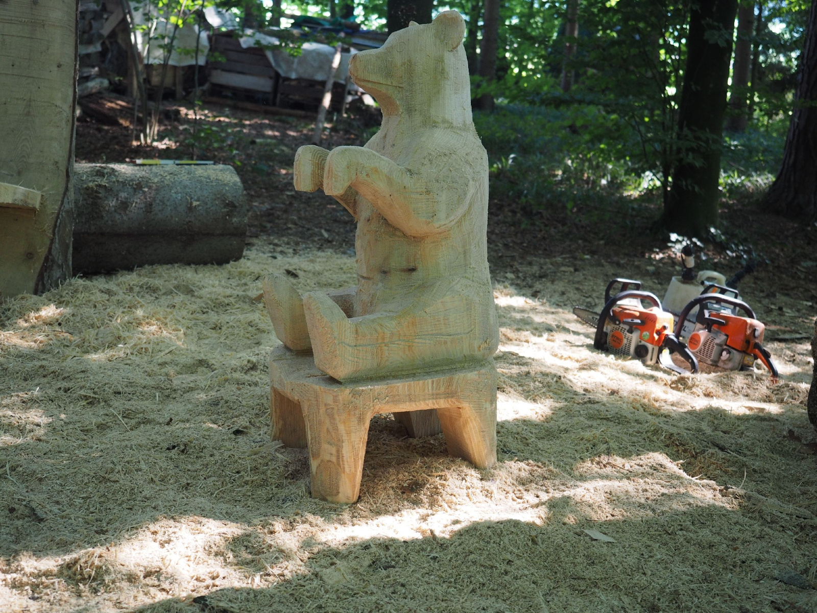 Sitzender baer 11 20160911 1856714031