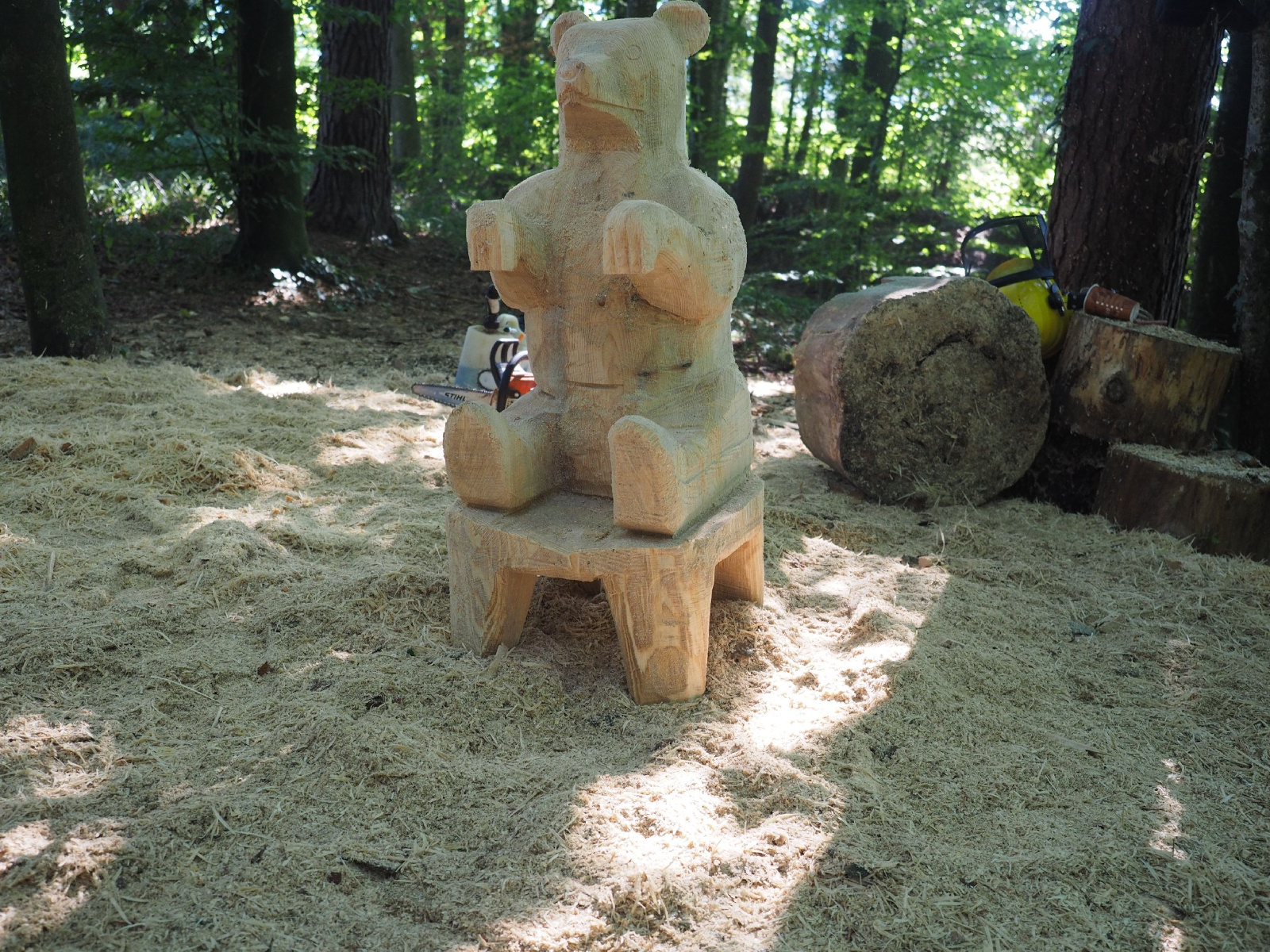 Sitzender baer 12 20160911 1555641360