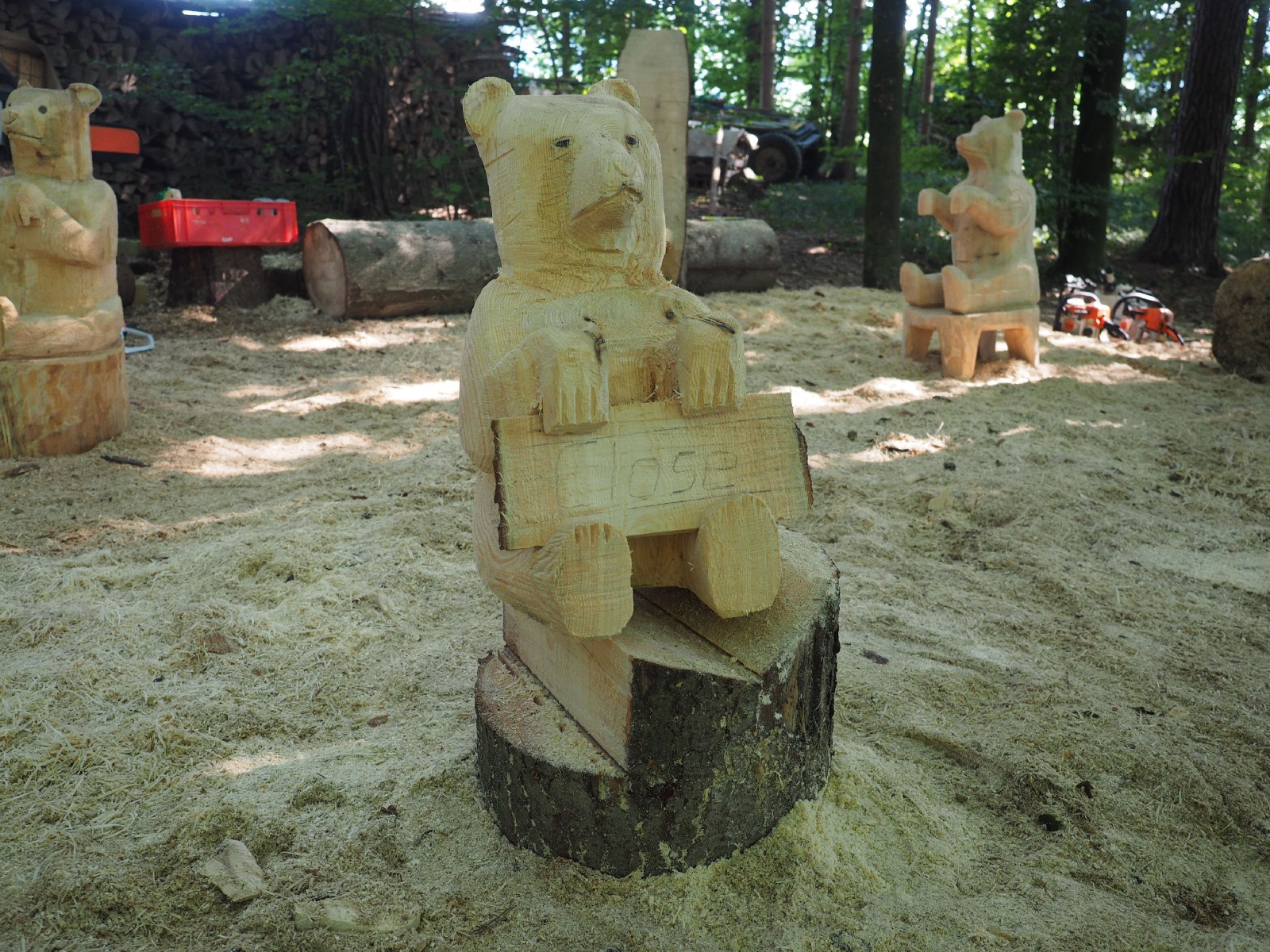 Sitzender baer 13 20160911 1050968572