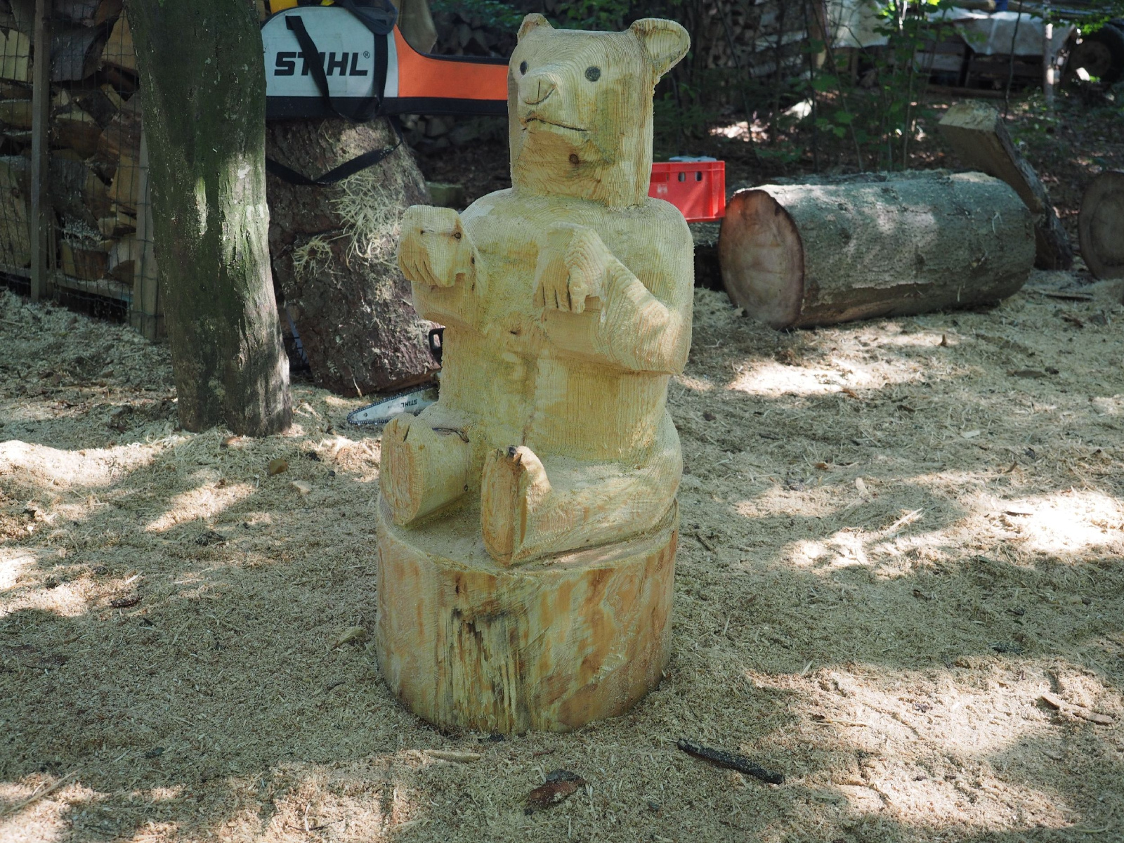 Sitzender baer 14 20160911 1419490350