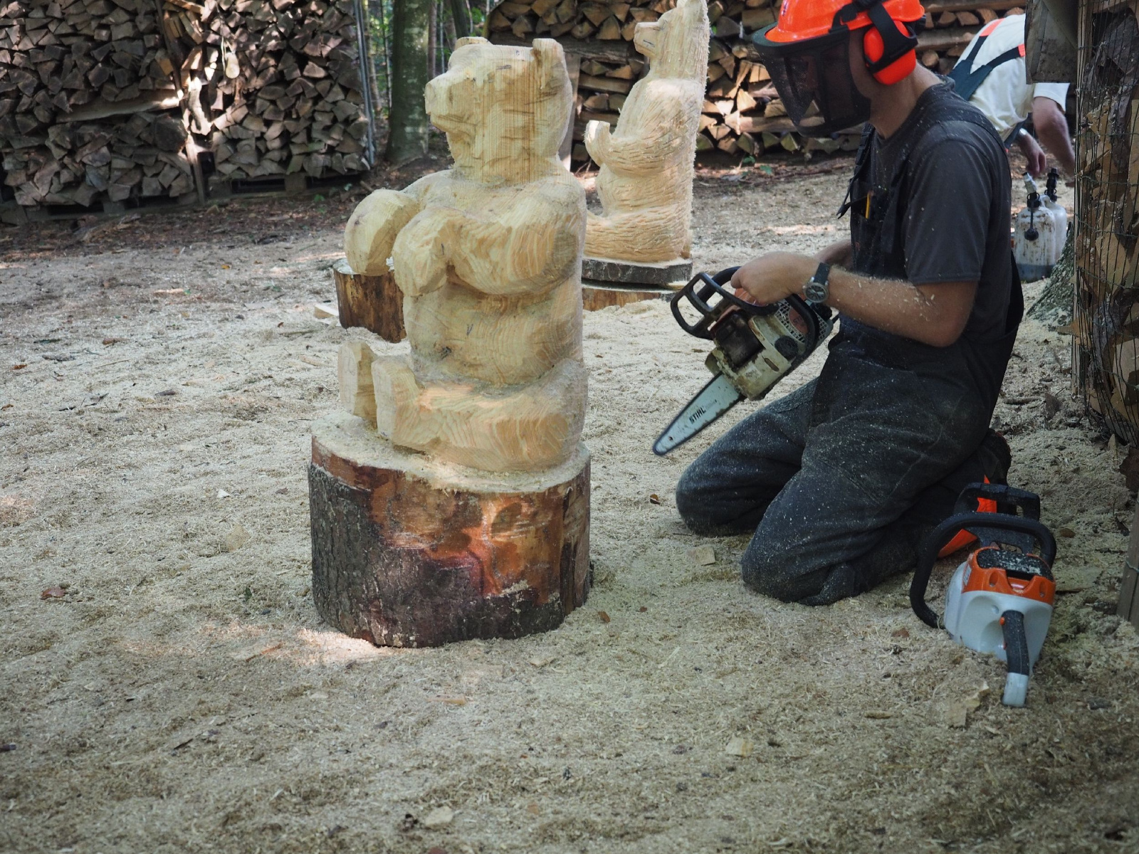 Sitzender baer 15 20160911 1320870131