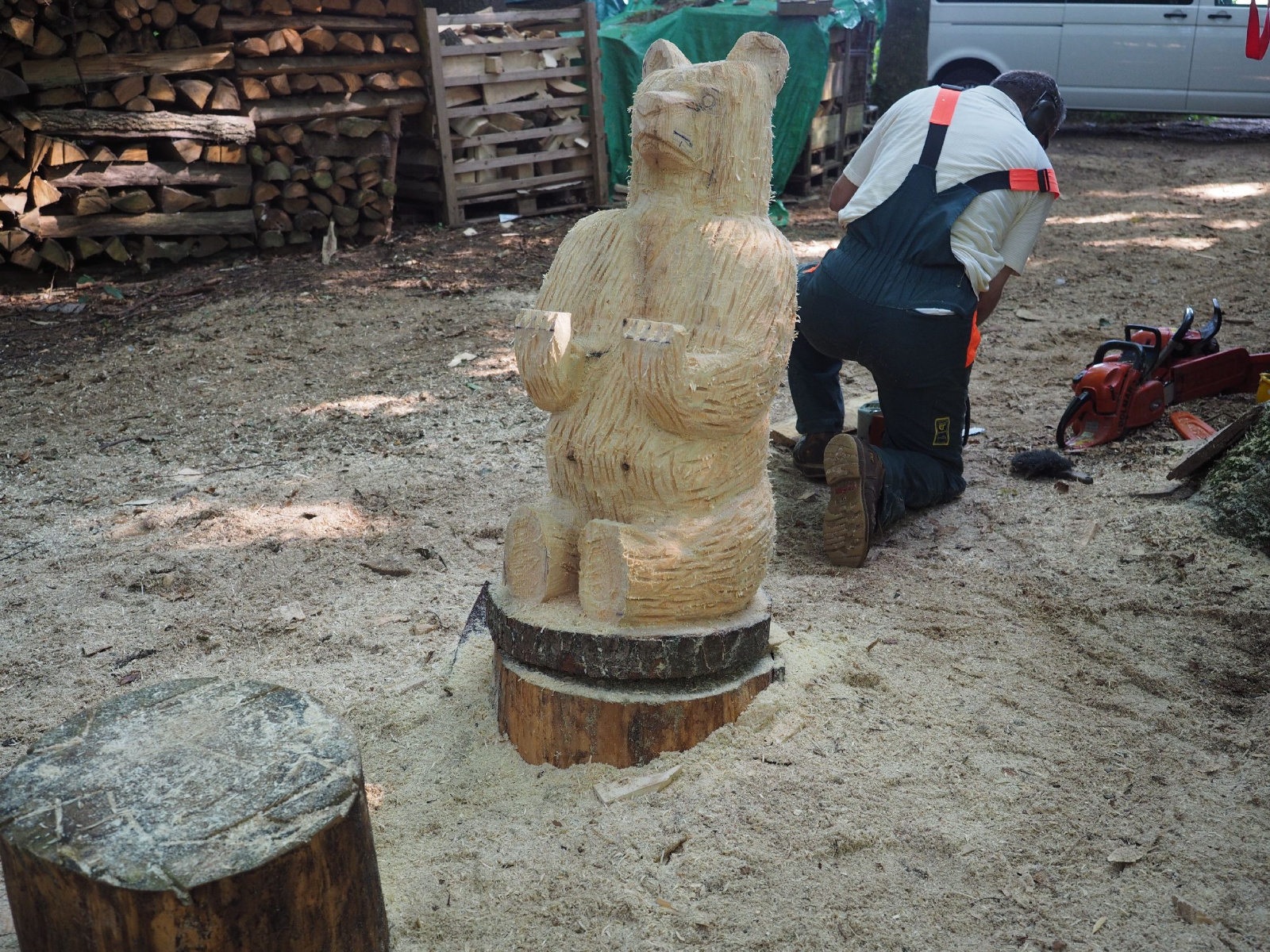 Sitzender baer 16 20160911 1937604555