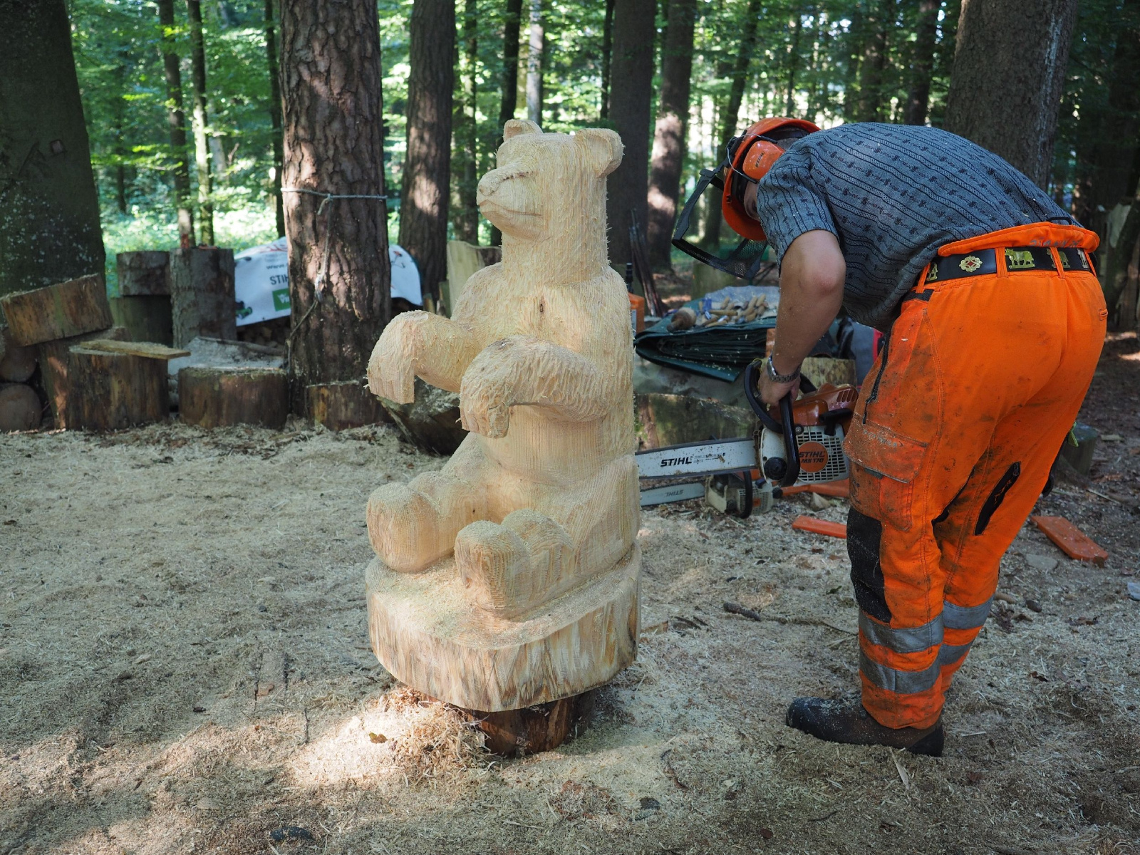 Sitzender baer 17 20160911 1029476119