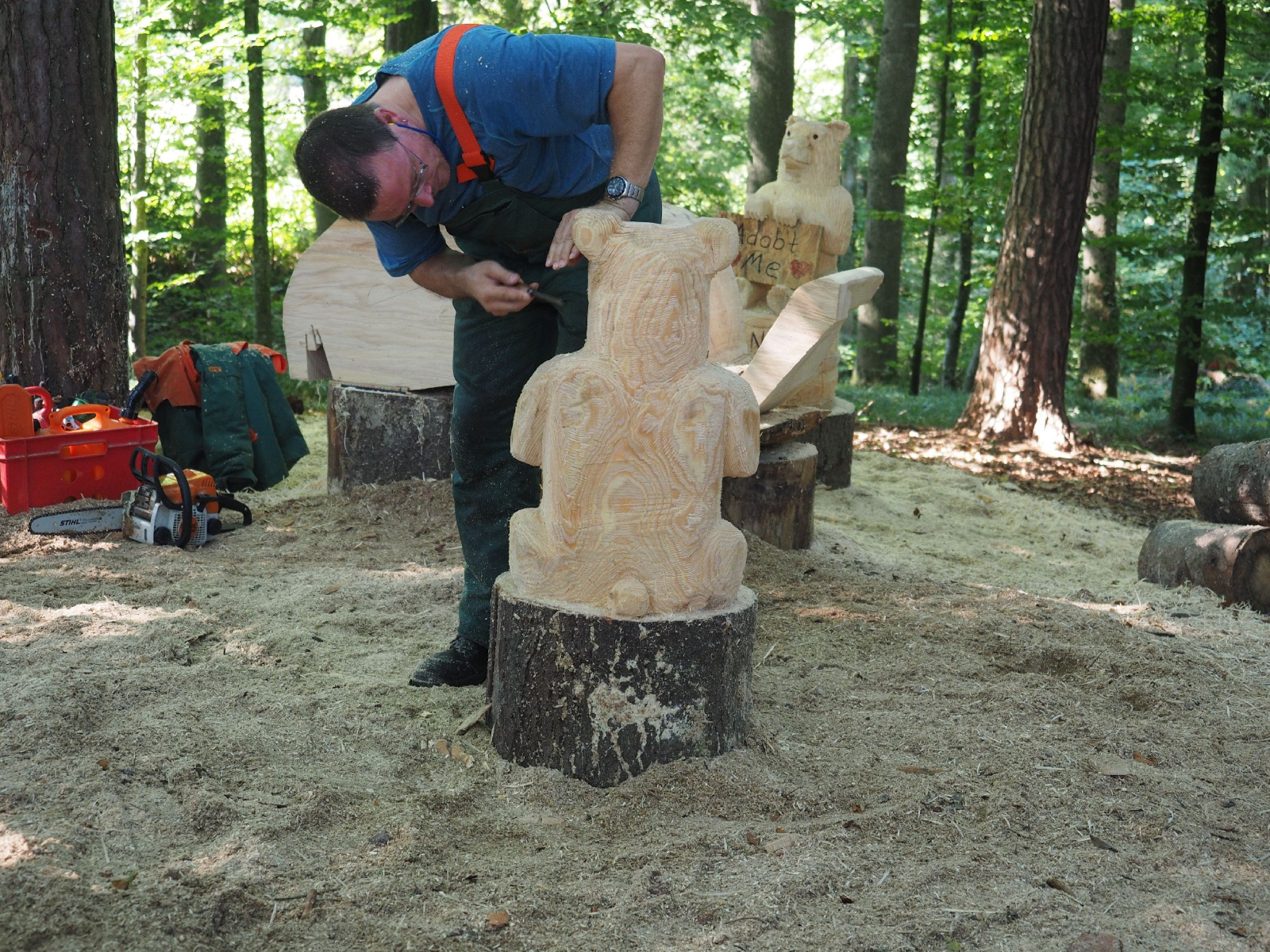 Sitzender baer 18 20160911 1196274295