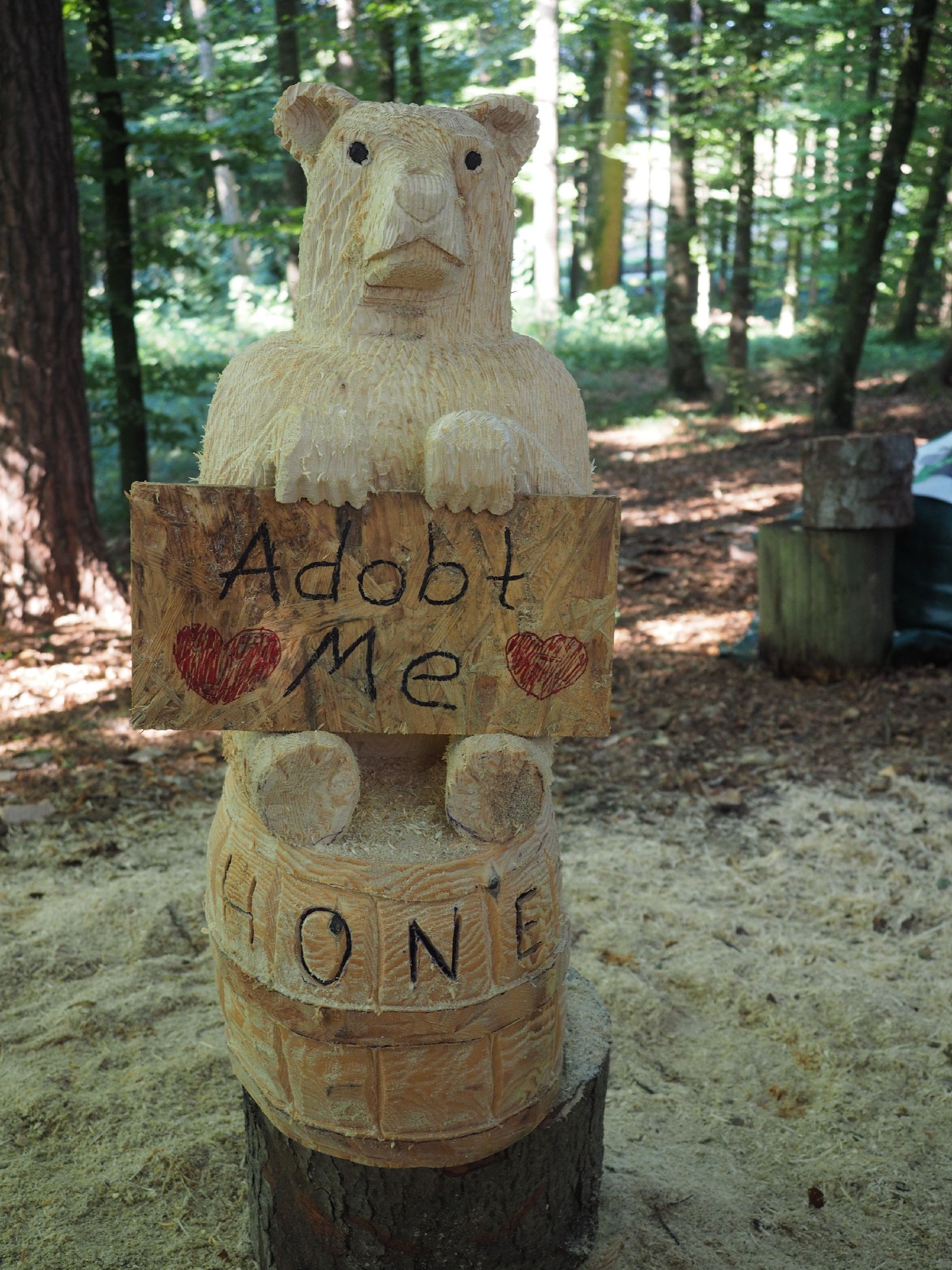 Sitzender baer 20 20160911 1221650252