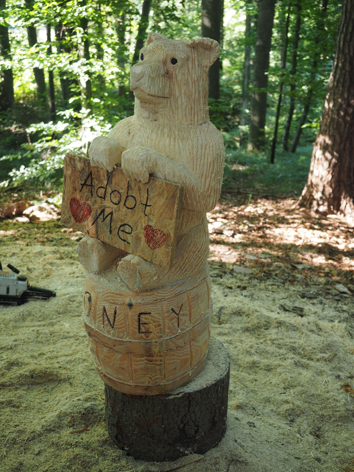 Sitzender baer 21 20160911 1206112906