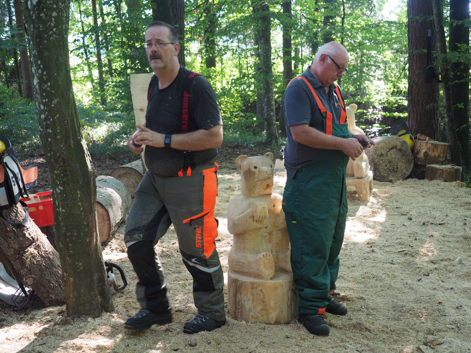 Sitzender baer 22 20160911 1659917747