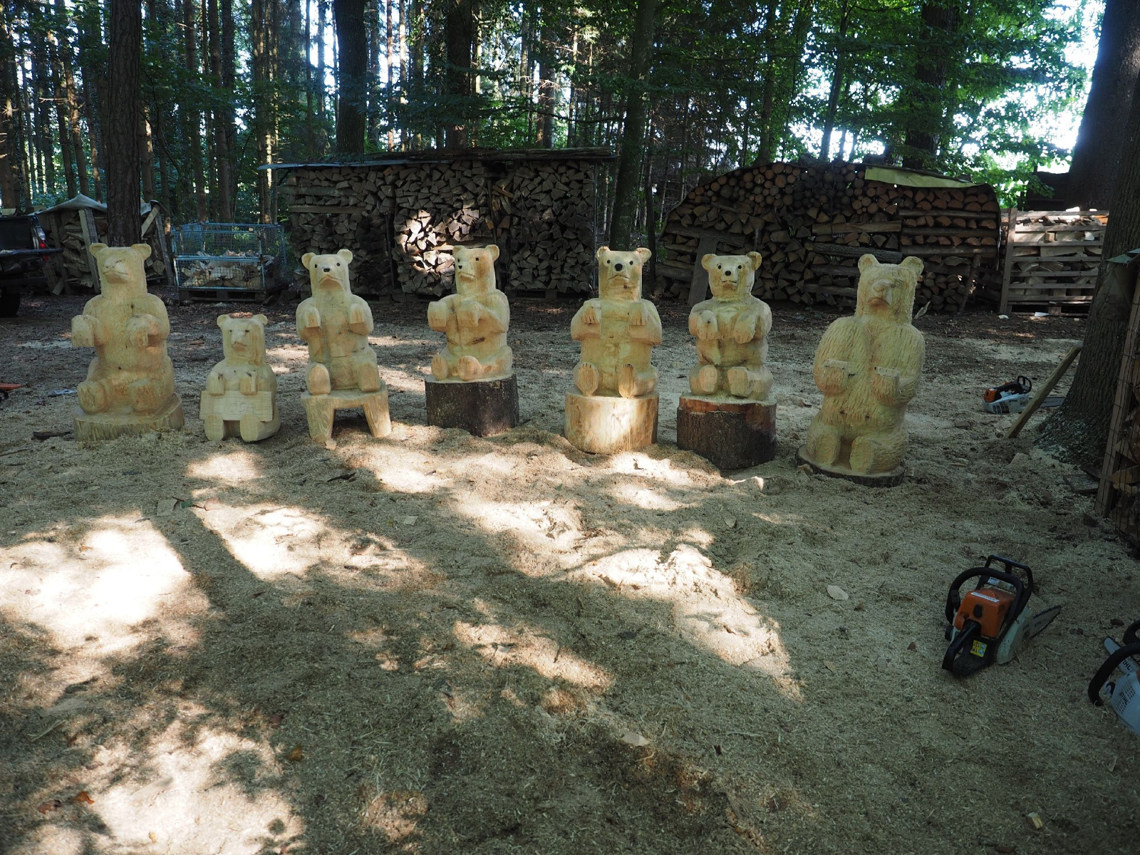 Sitzender baer 23 20160911 2077518389