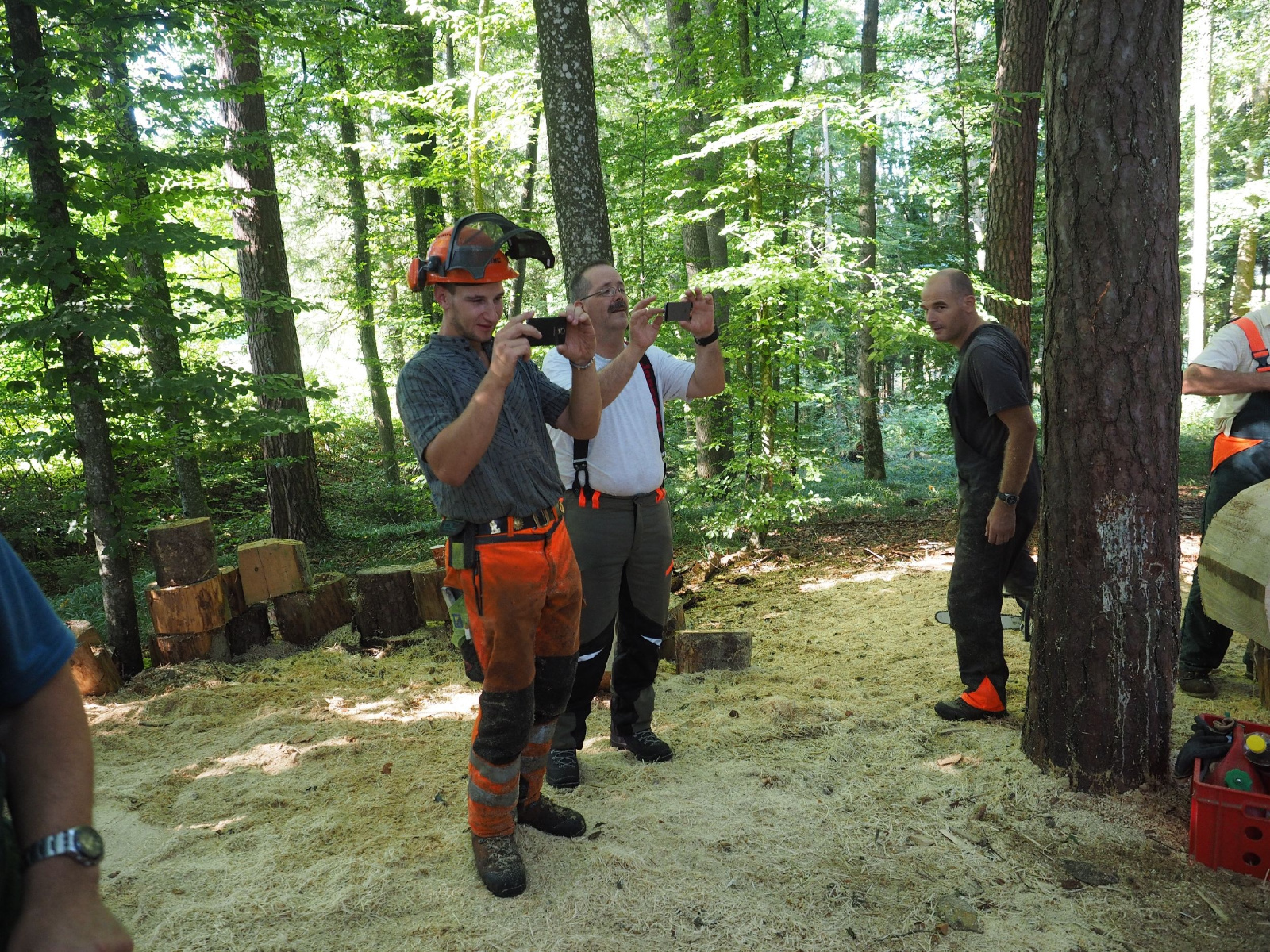 Sitzender baer 24 20160911 1660876798