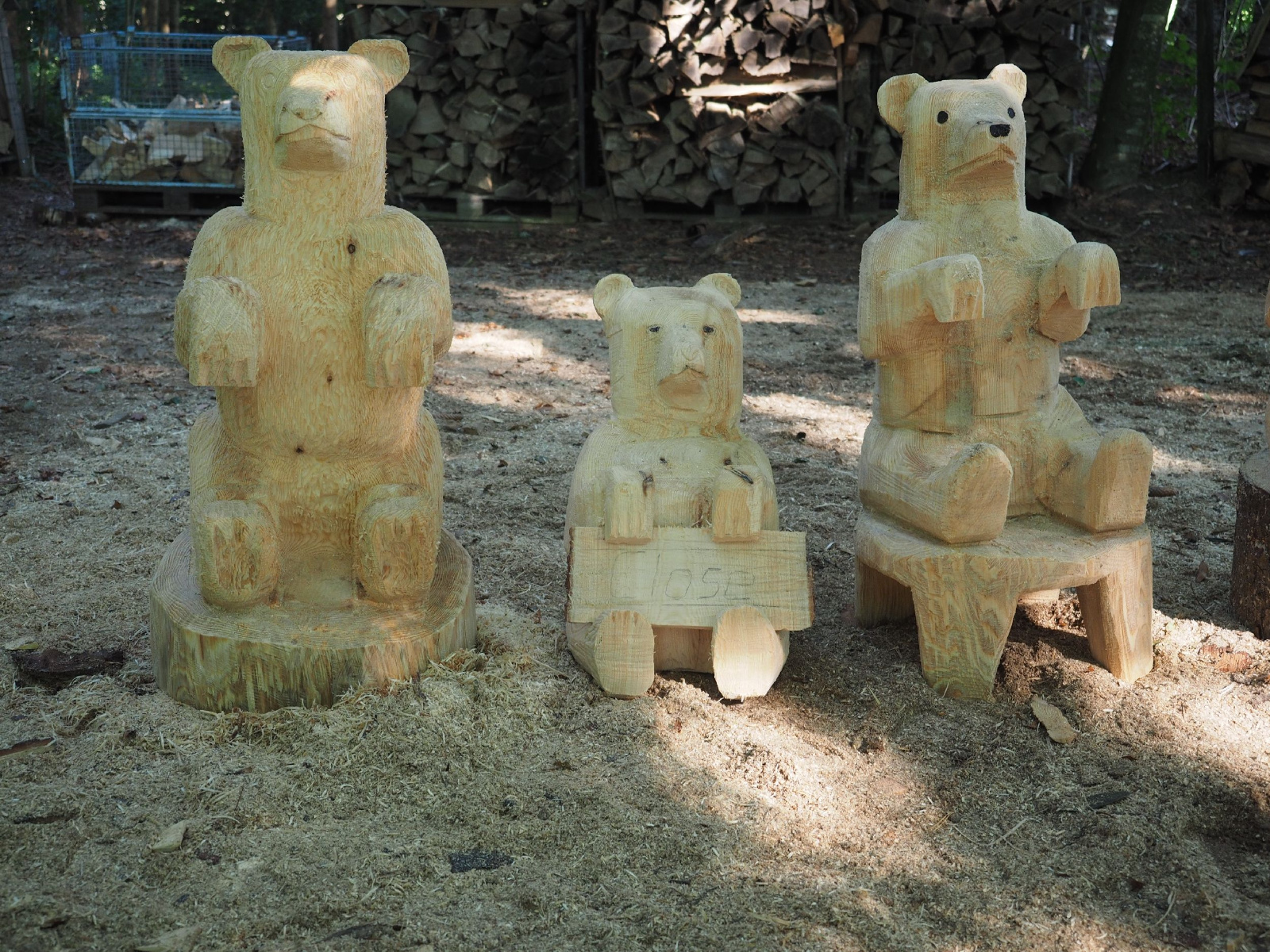 Sitzender baer 25 20160911 1910861230