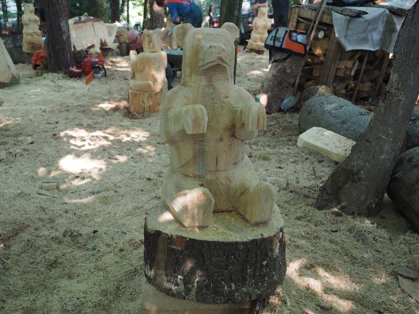 Sitzender baer 2 20160911 1749573458