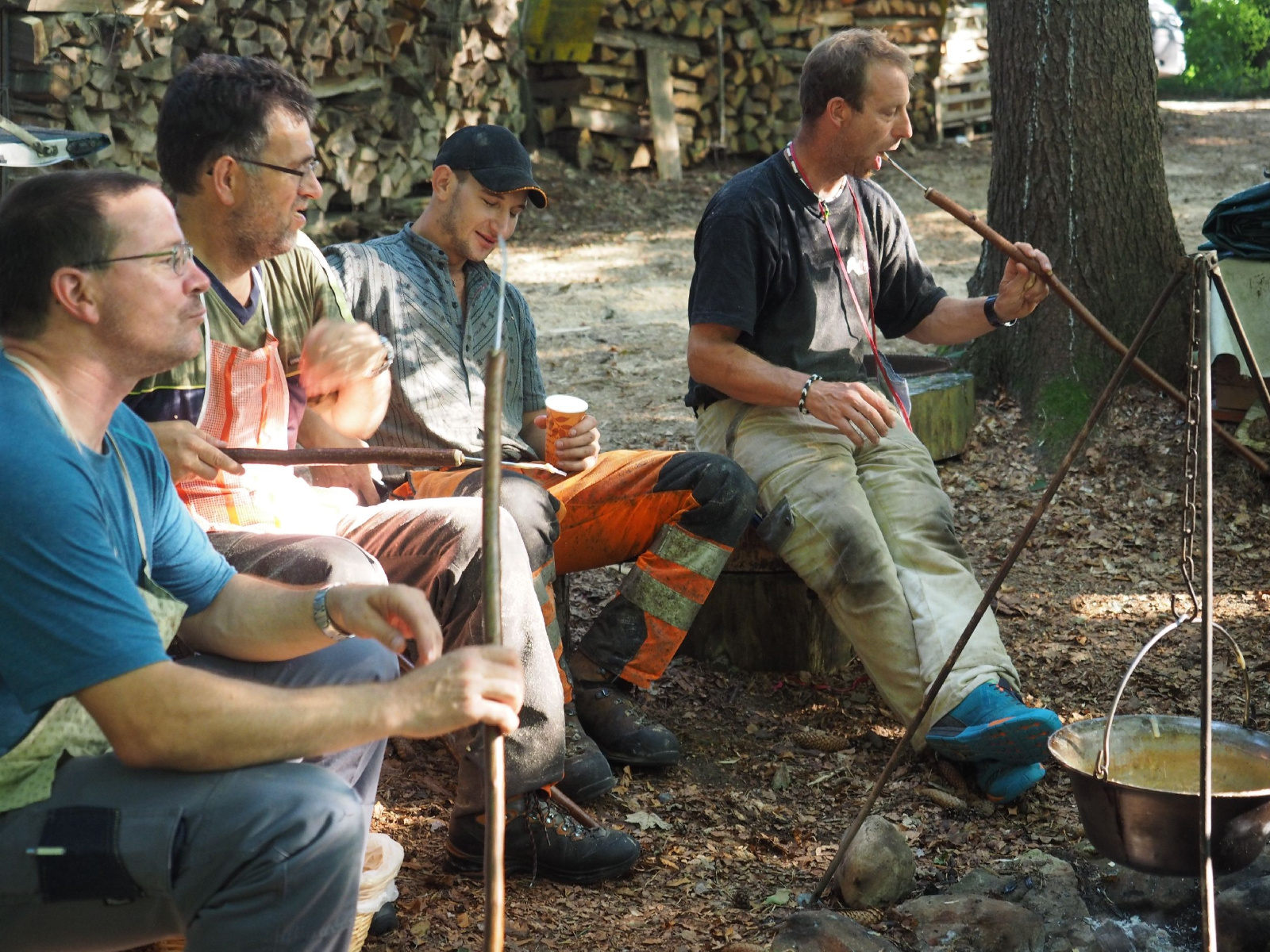 Sitzender baer 30 20160911 1110915611