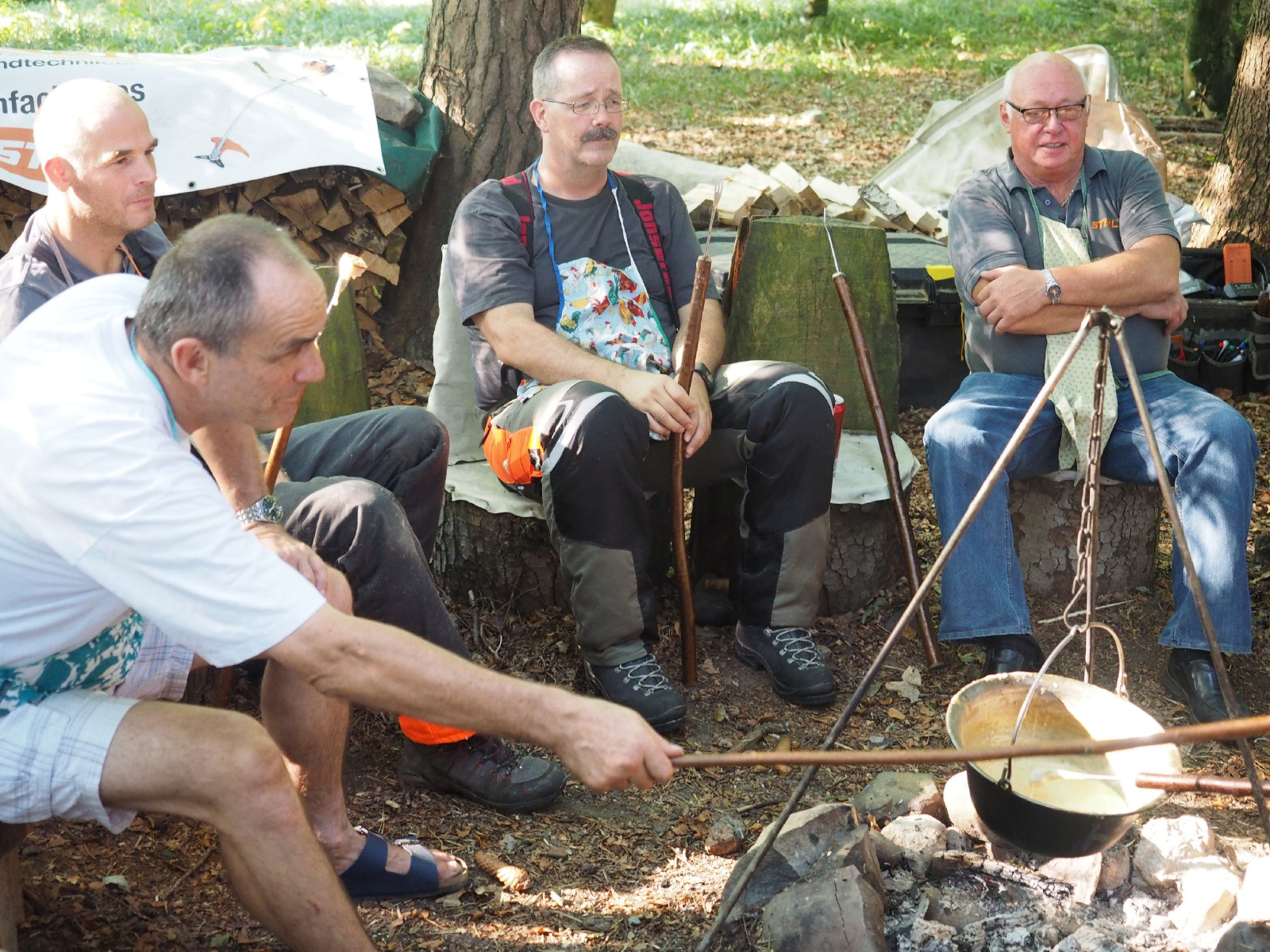 Sitzender baer 31 20160911 1934920030