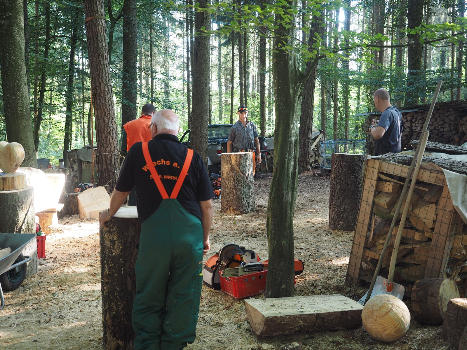 Sitzender baer 33 20160911 1603315489