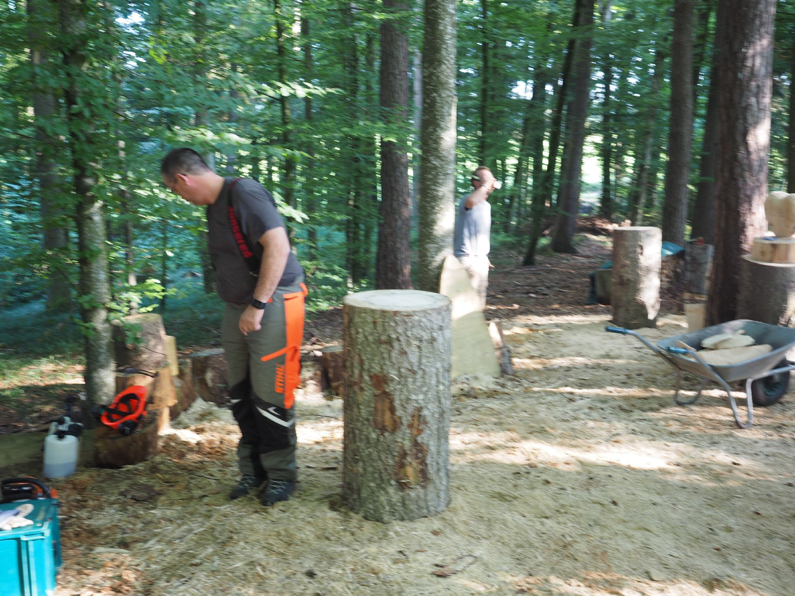 Sitzender baer 34 20160911 1655443808