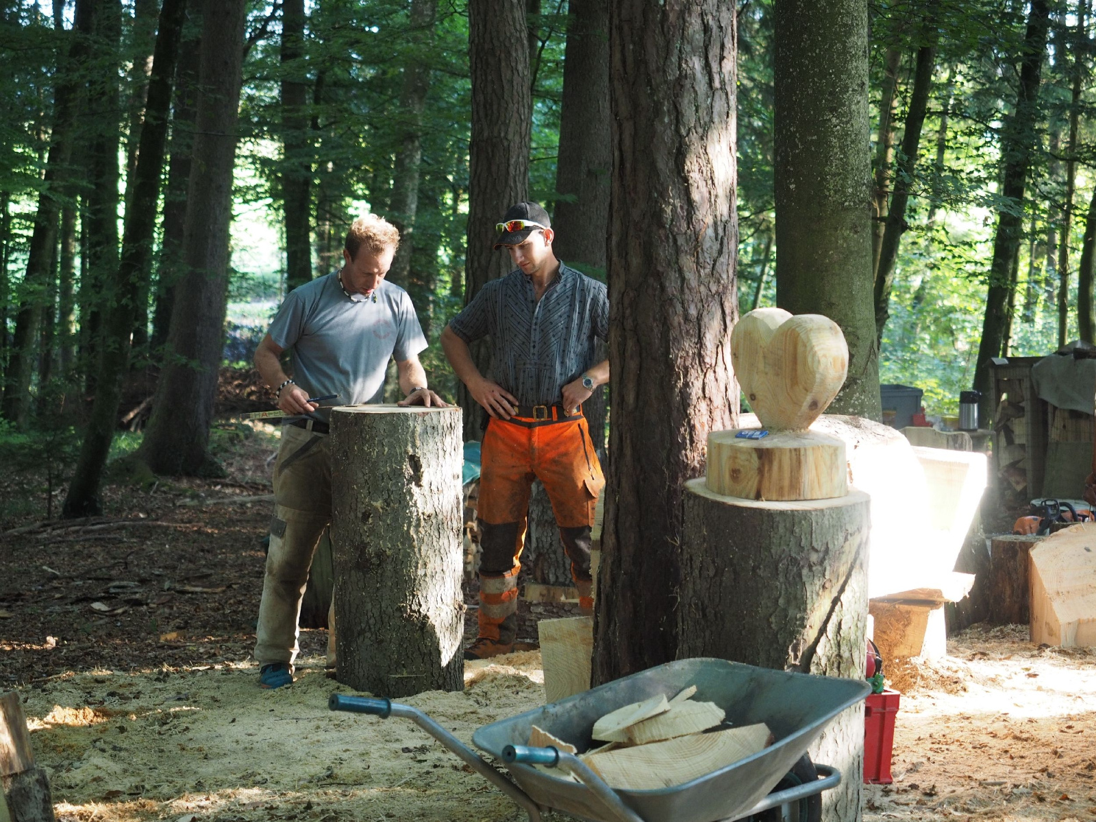 Sitzender baer 35 20160911 1554842385