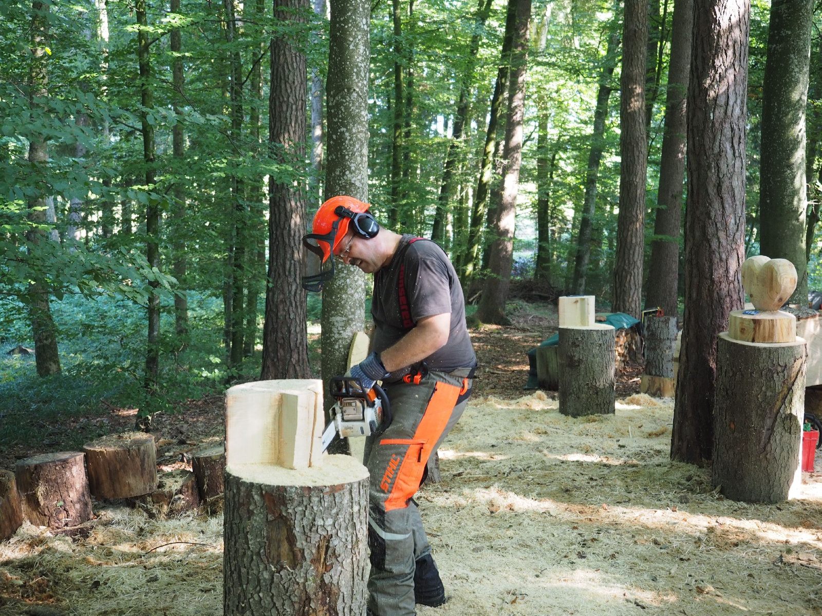 Sitzender baer 37 20160911 2011770610