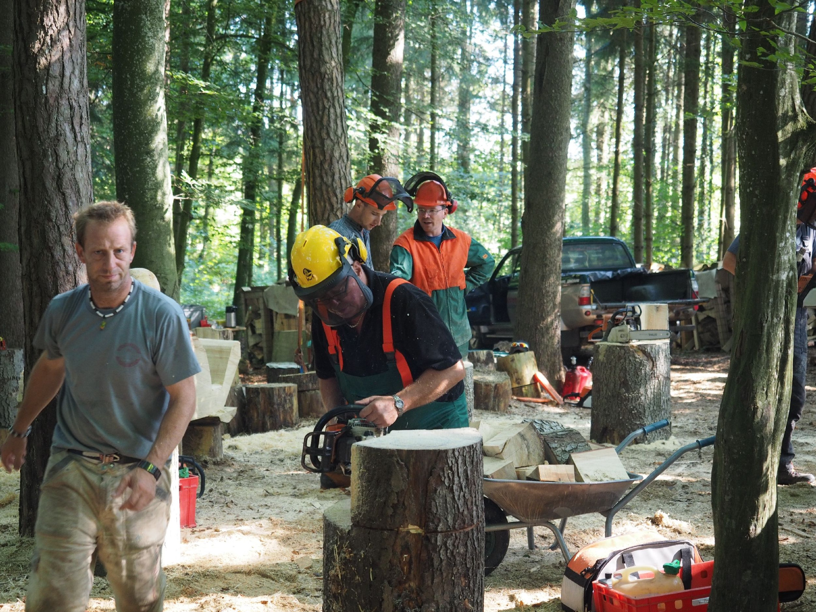 Sitzender baer 38 20160911 1318641481