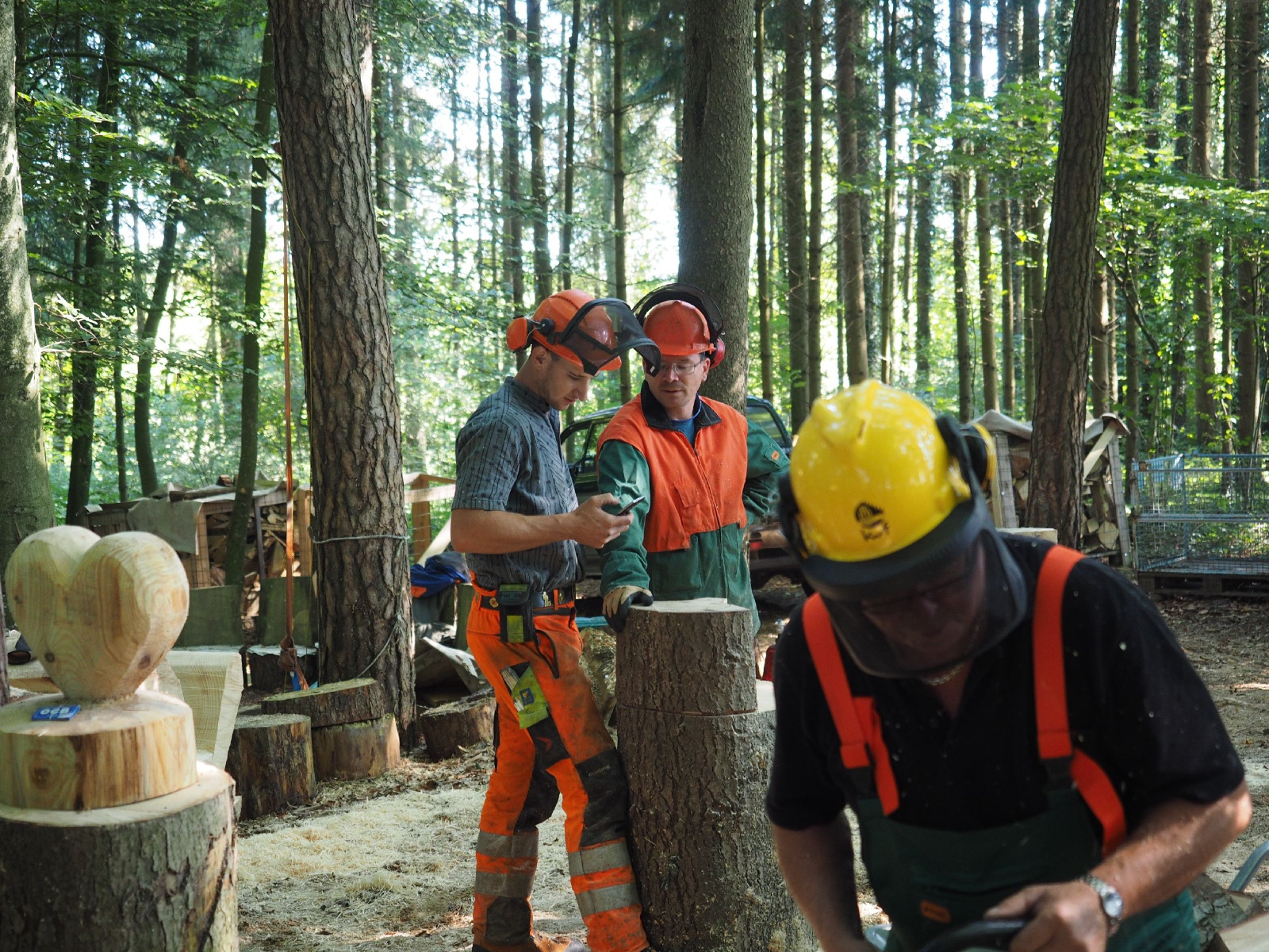 Sitzender baer 39 20160911 1169741230