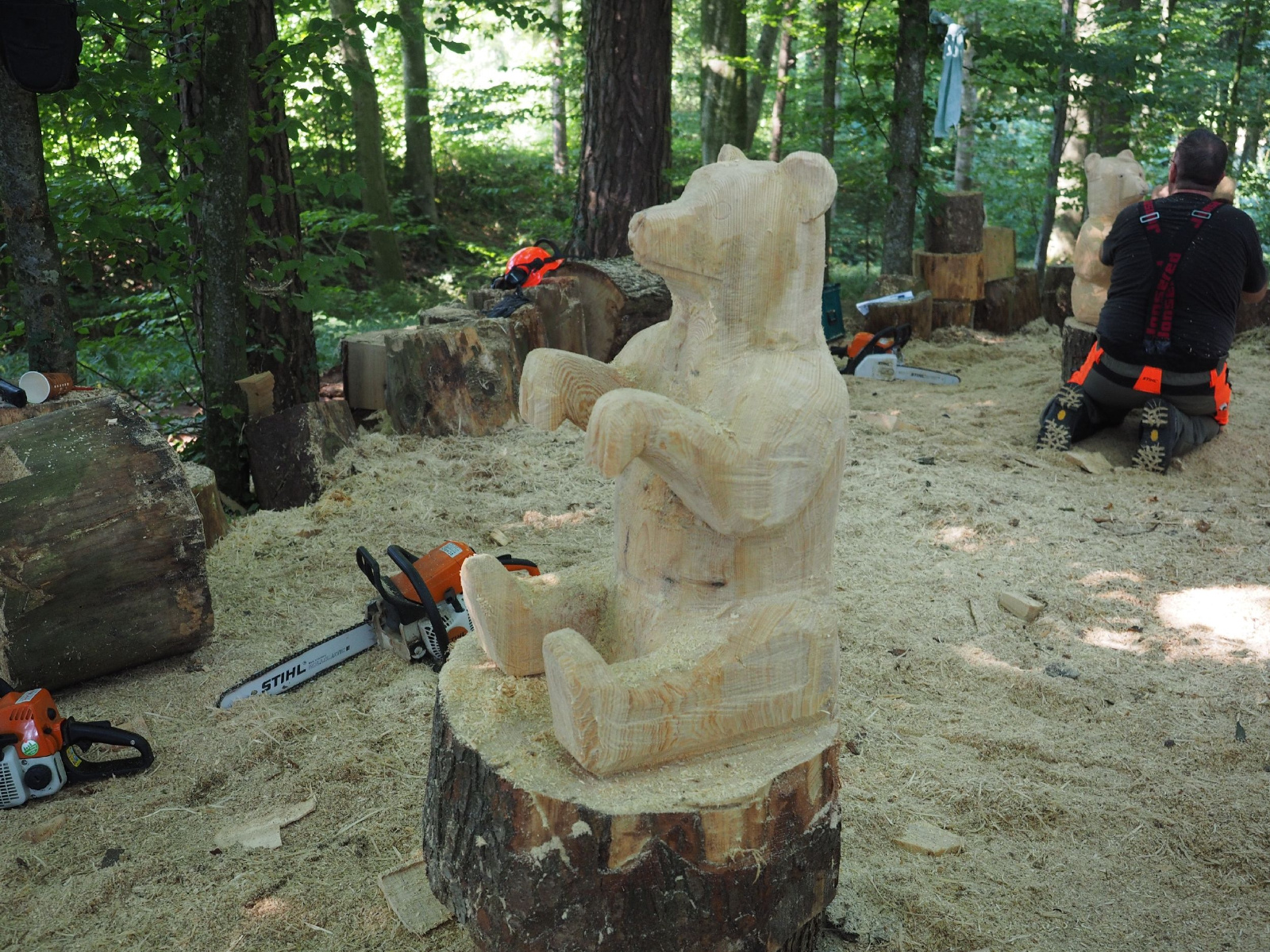 Sitzender baer 3 20160911 1851468416