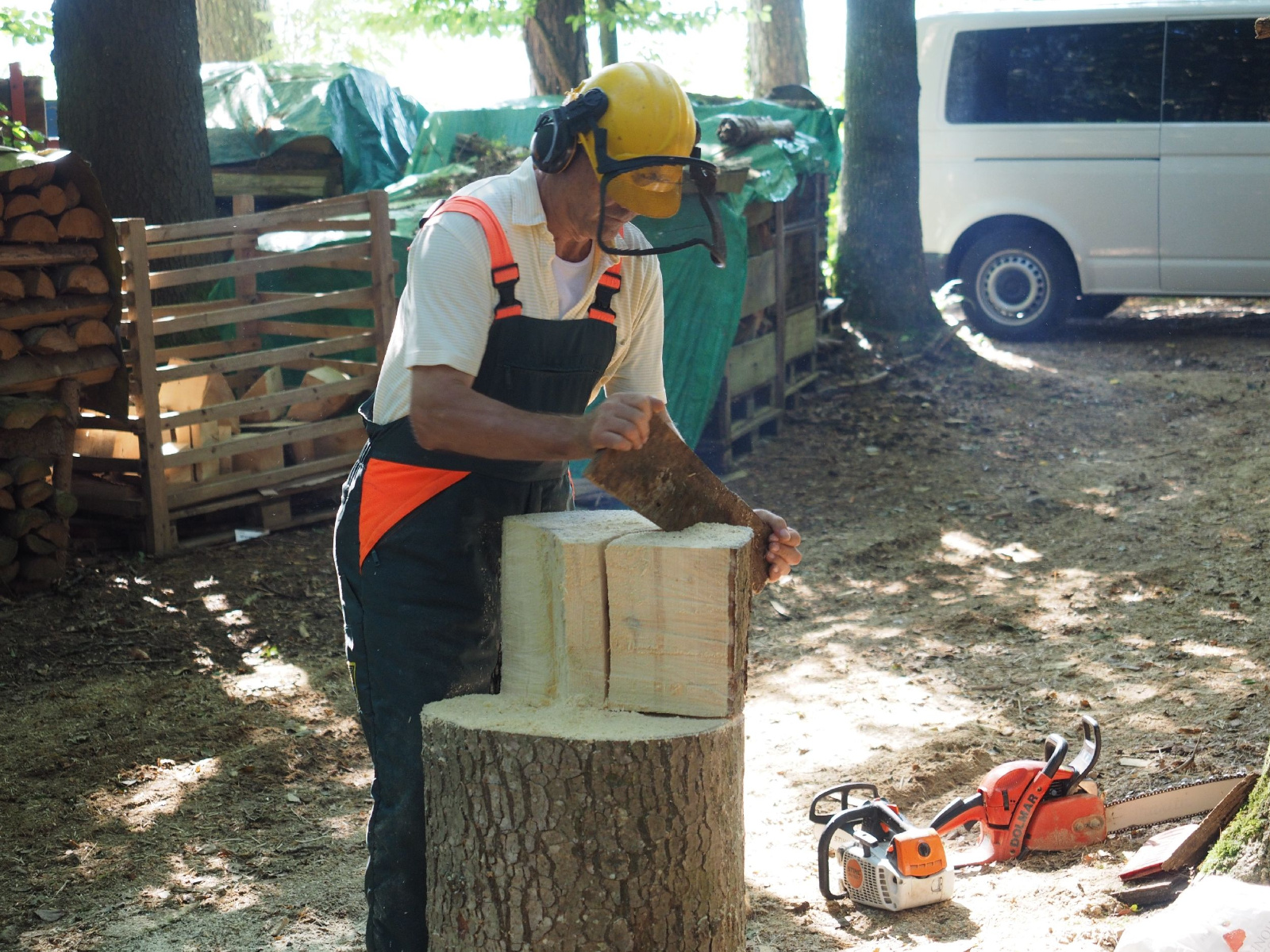 Sitzender baer 41 20160911 1911151187