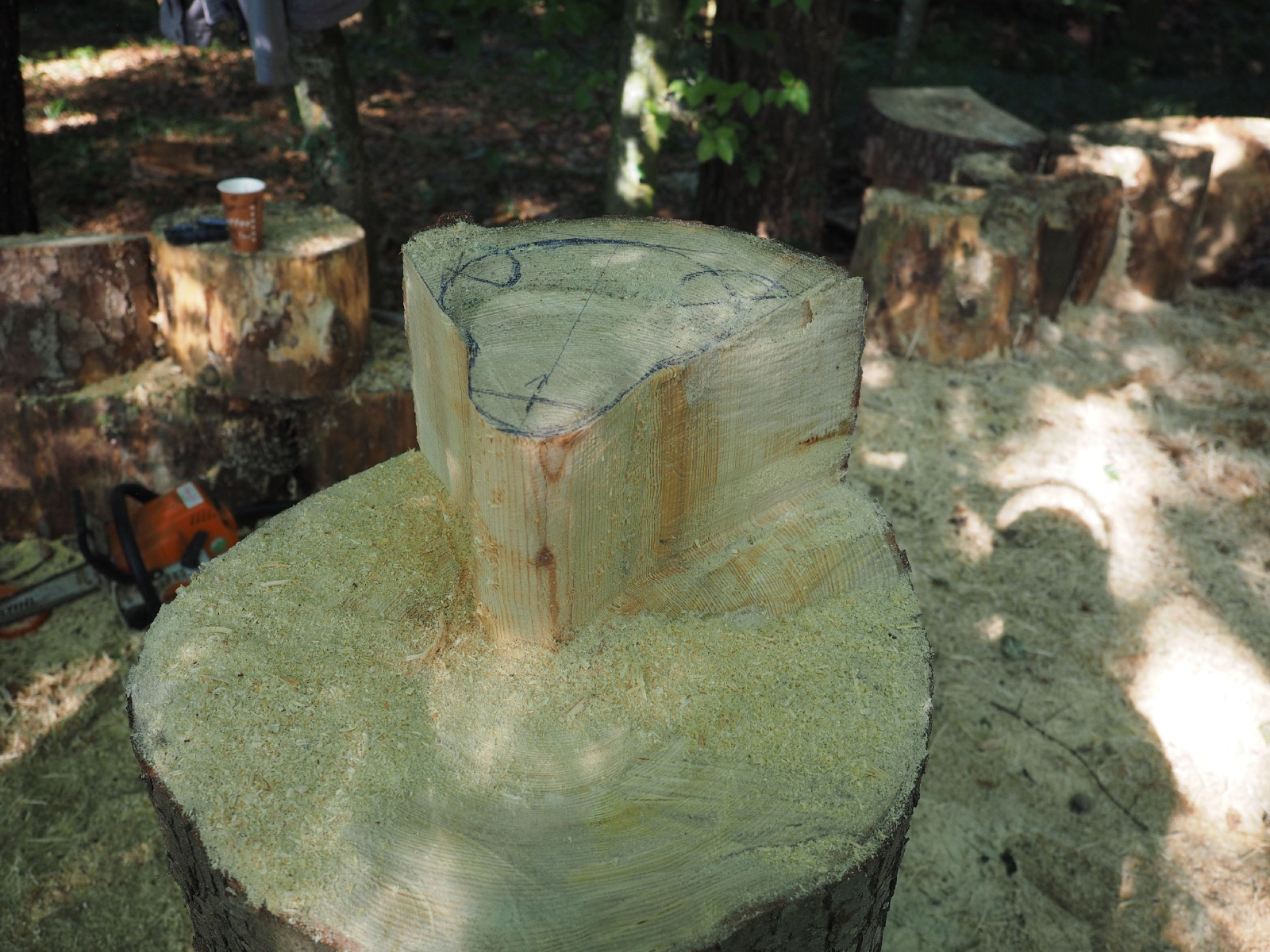 Sitzender baer 42 20160911 1552254658