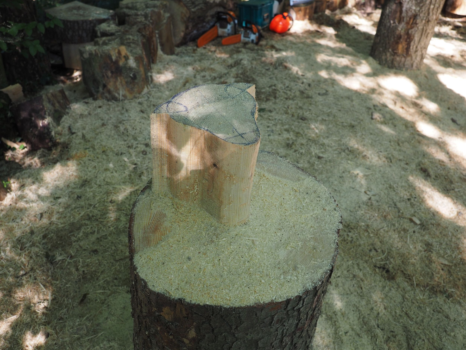 Sitzender baer 43 20160911 1785027981