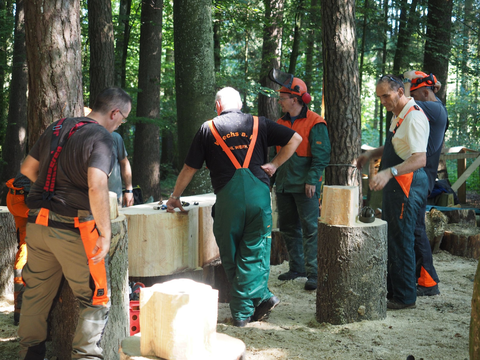 Sitzender baer 44 20160911 1806645549