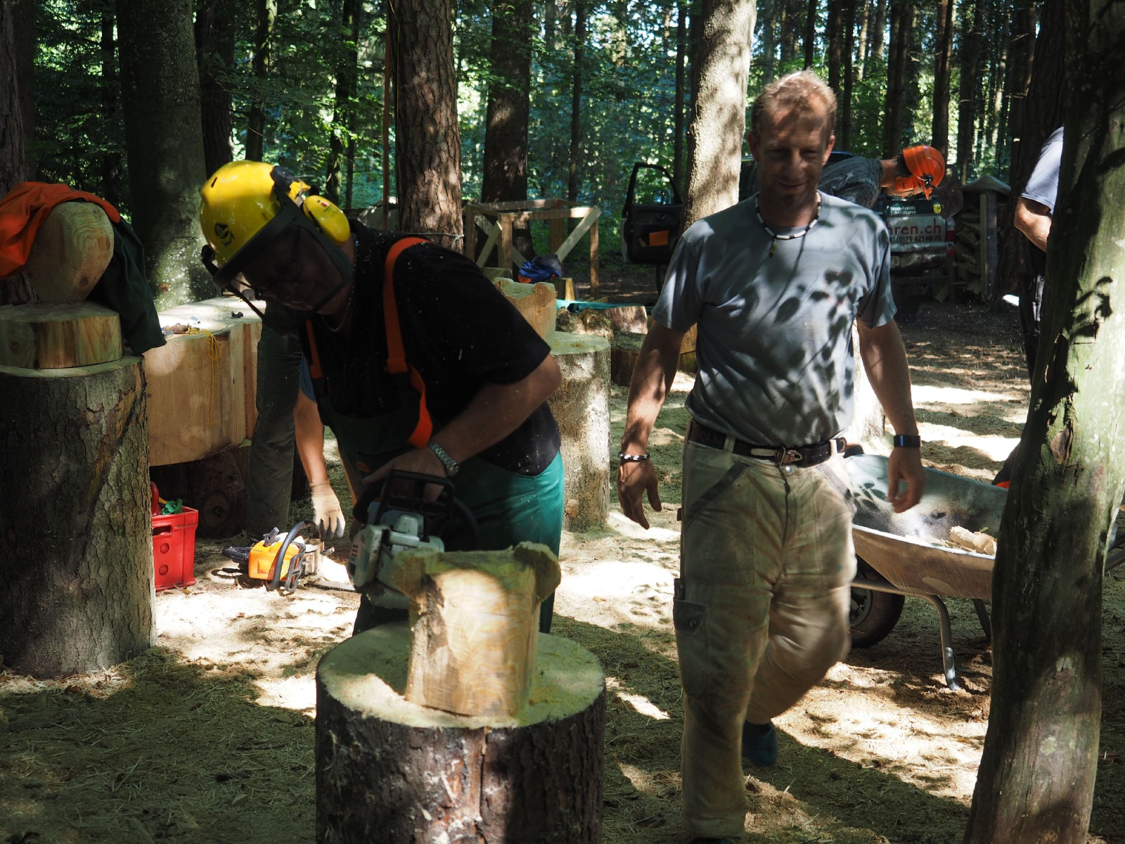 Sitzender baer 45 20160911 1809394402