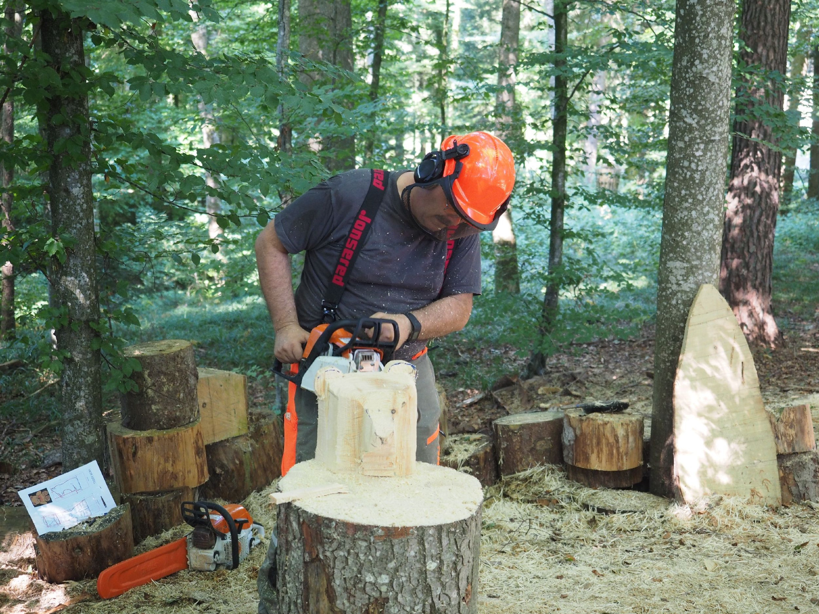 Sitzender baer 46 20160911 1385841088