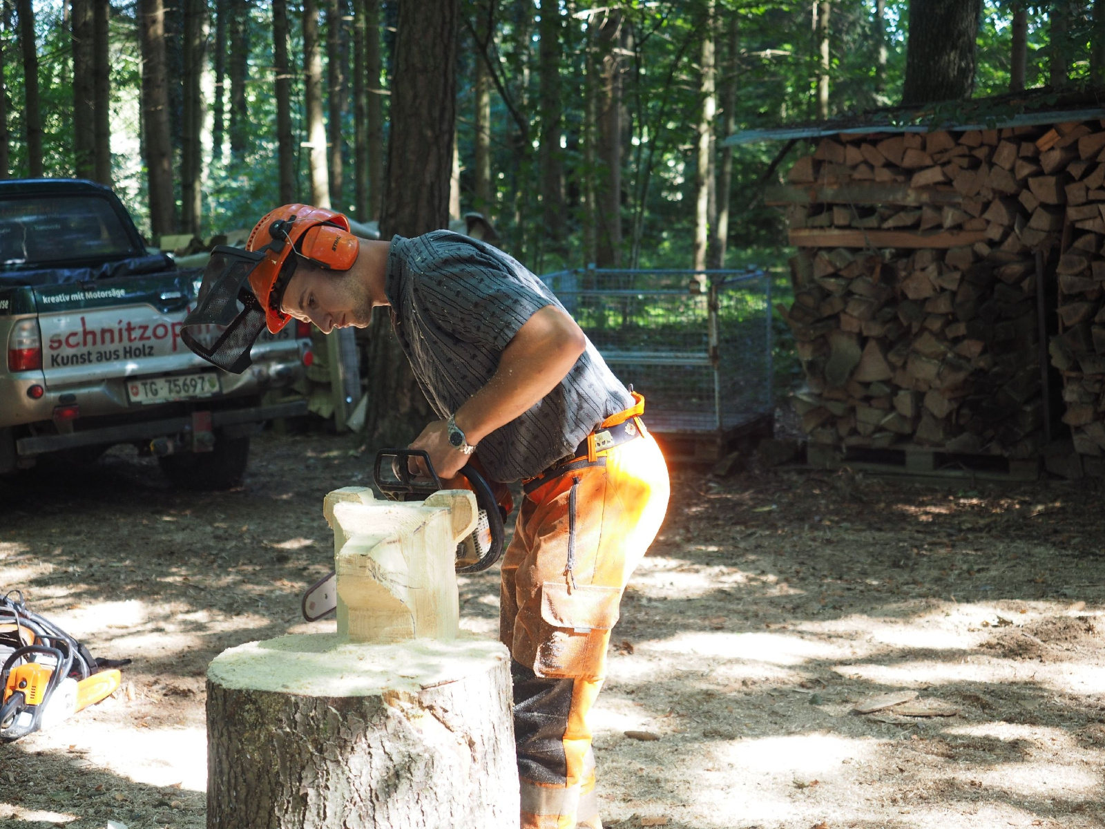 Sitzender baer 49 20160911 1613771578