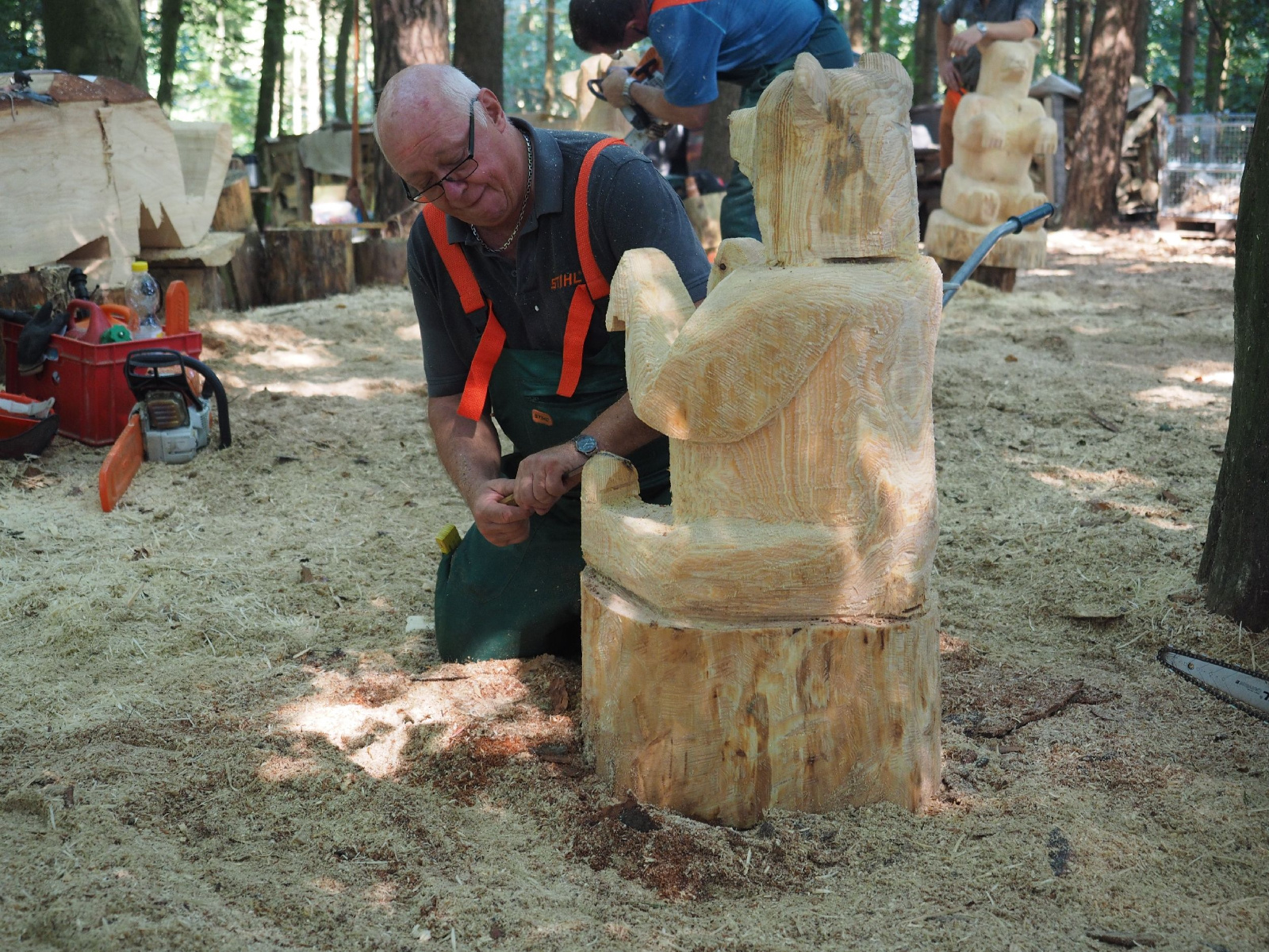 Sitzender baer 4 20160911 2001855163