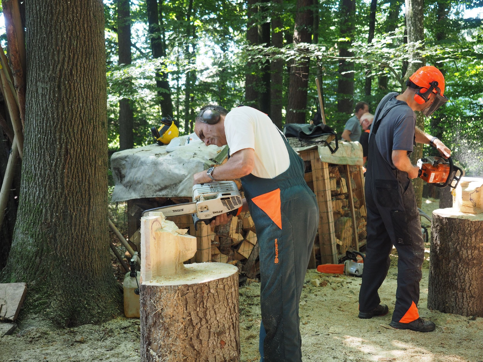 Sitzender baer 50 20160911 1583083180