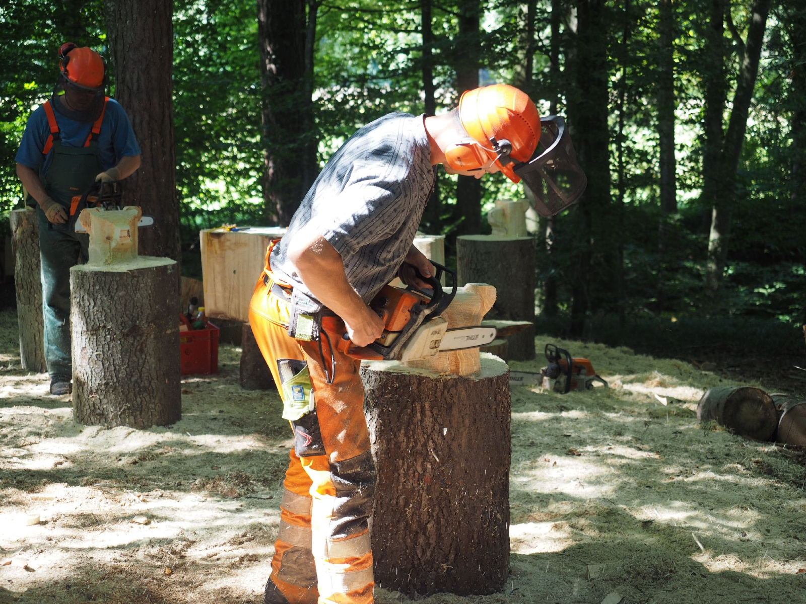 Sitzender baer 51 20160911 1706684254