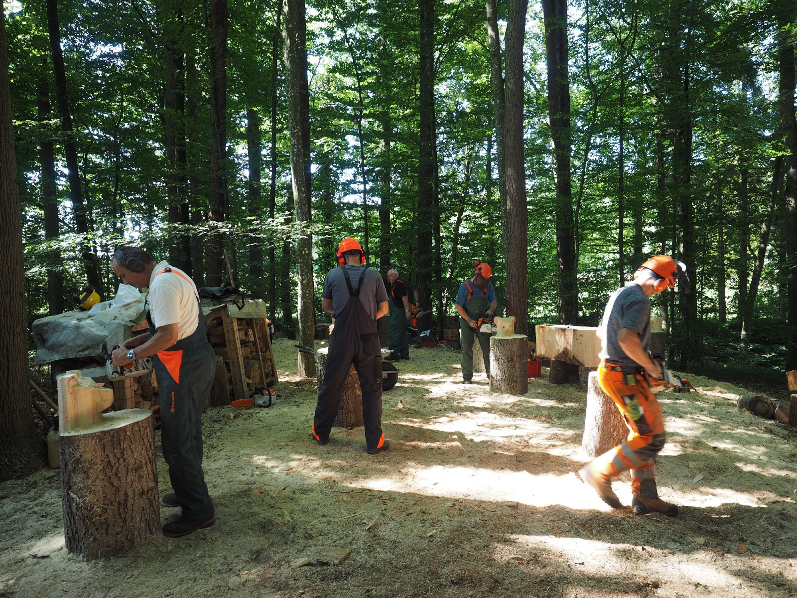 Sitzender baer 52 20160911 1810045081