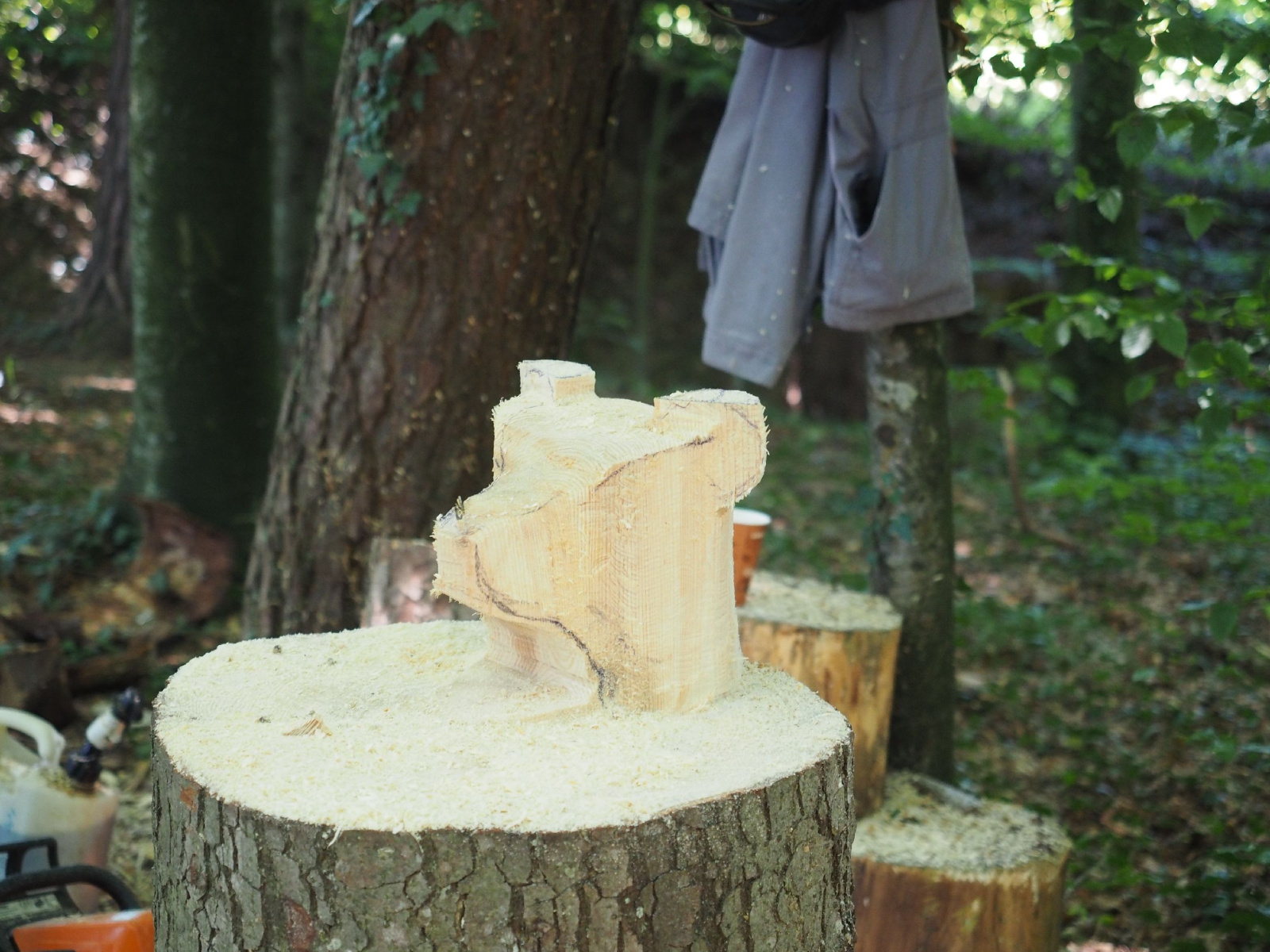 Sitzender baer 53 20160911 2087123289