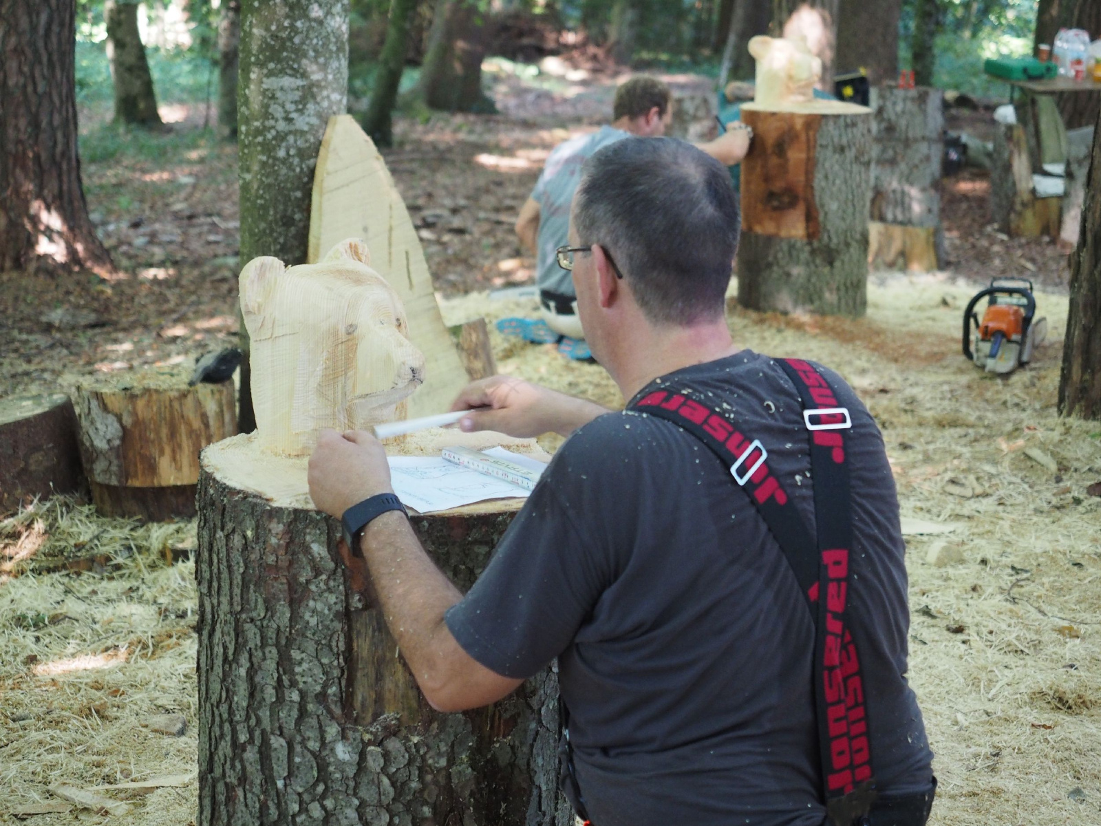 Sitzender baer 54 20160911 1694932240