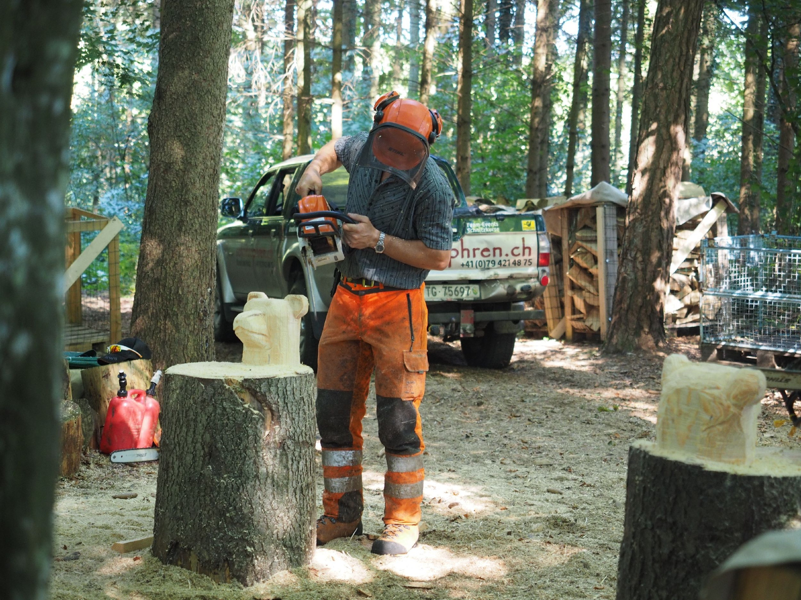 Sitzender baer 56 20160911 1665372812