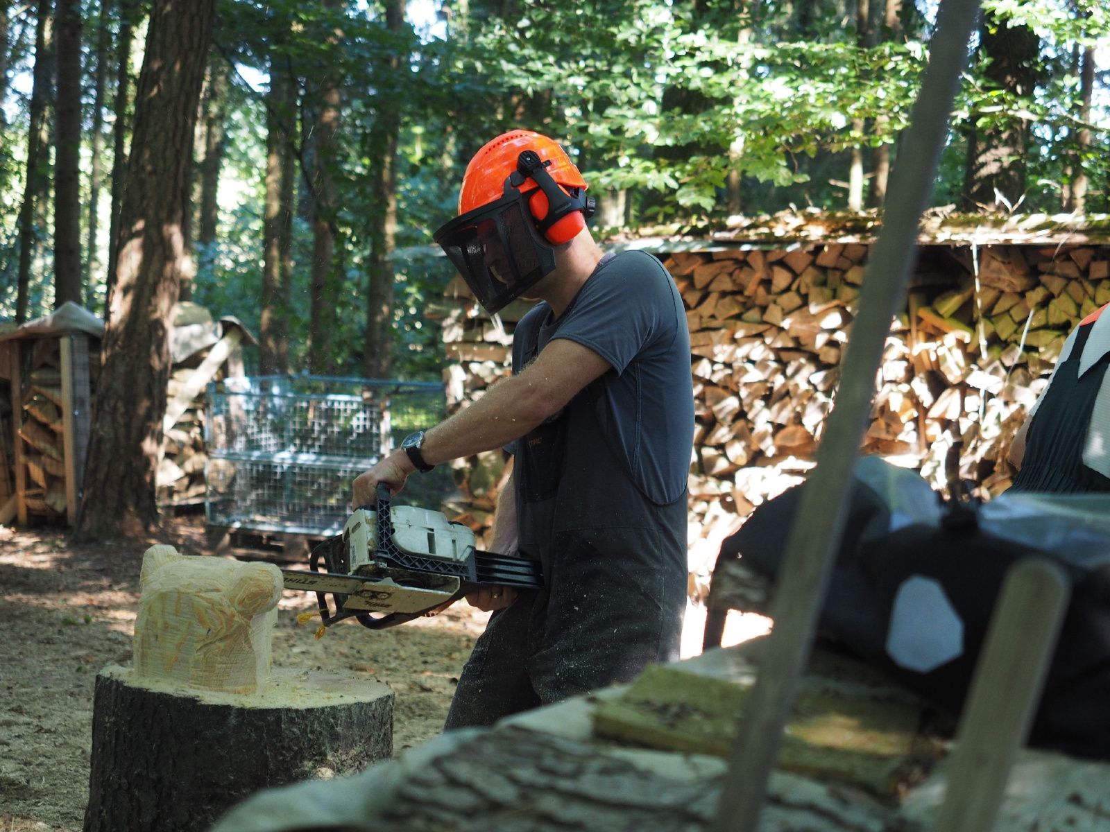 Sitzender baer 57 20160911 1716383270