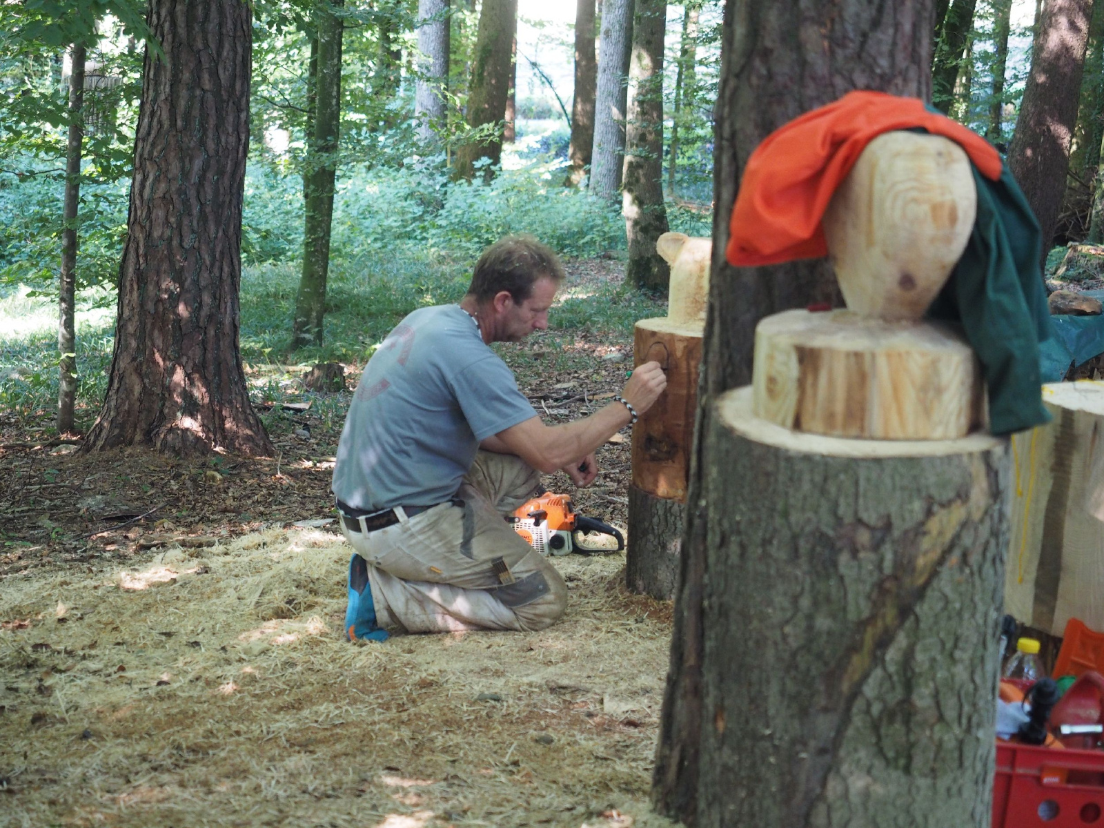 Sitzender baer 58 20160911 1488470252