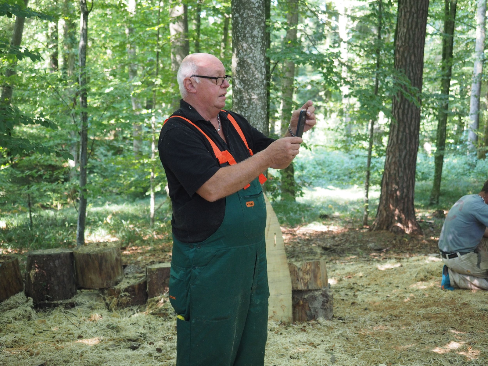 Sitzender baer 59 20160911 1604275446