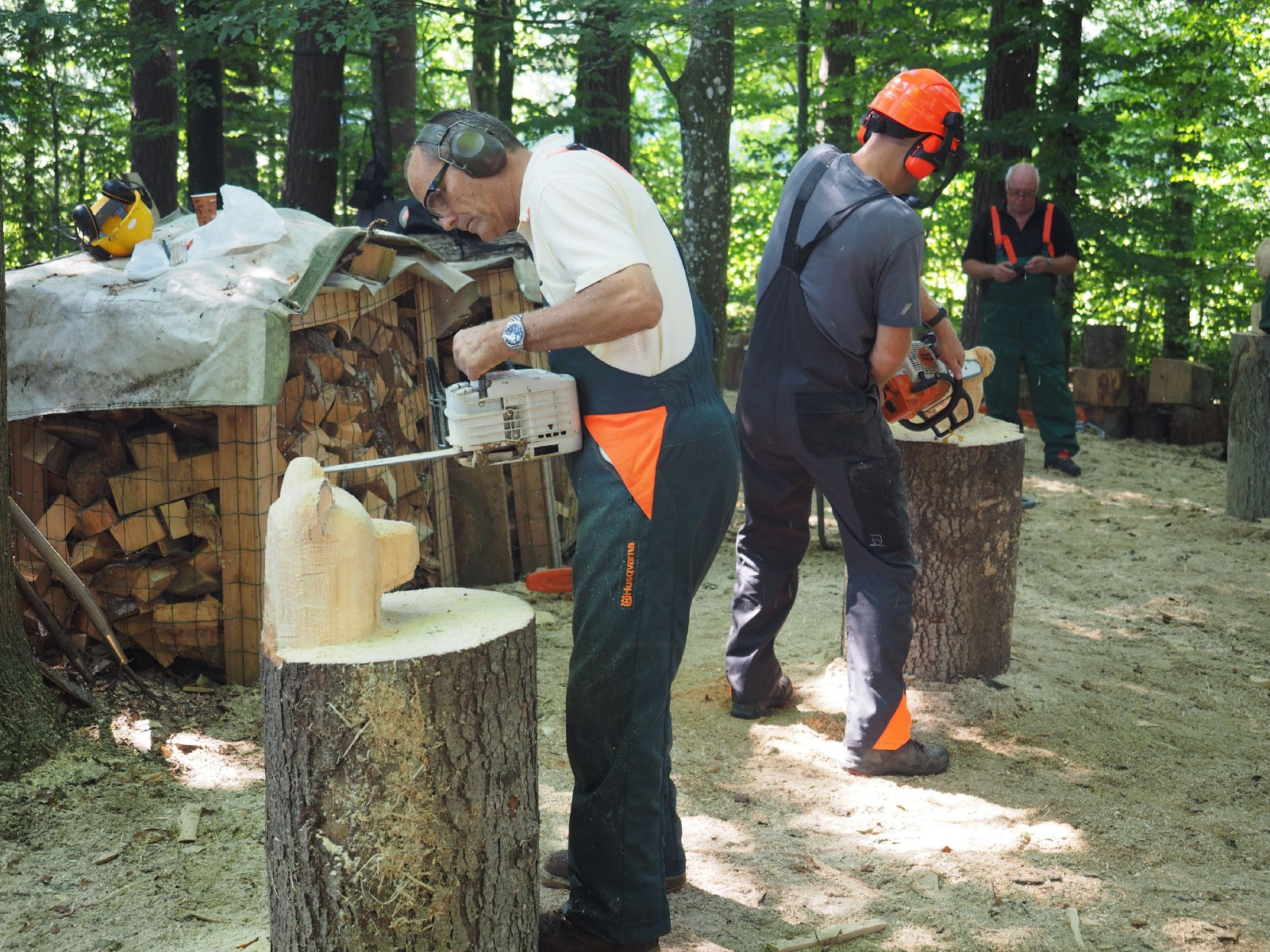 Sitzender baer 60 20160911 1330838756