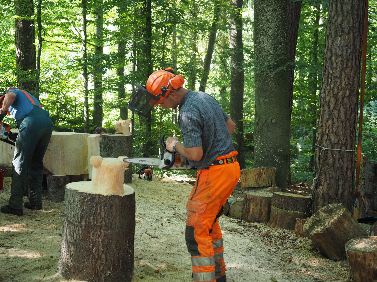 Sitzender baer 61 20160911 1637752713