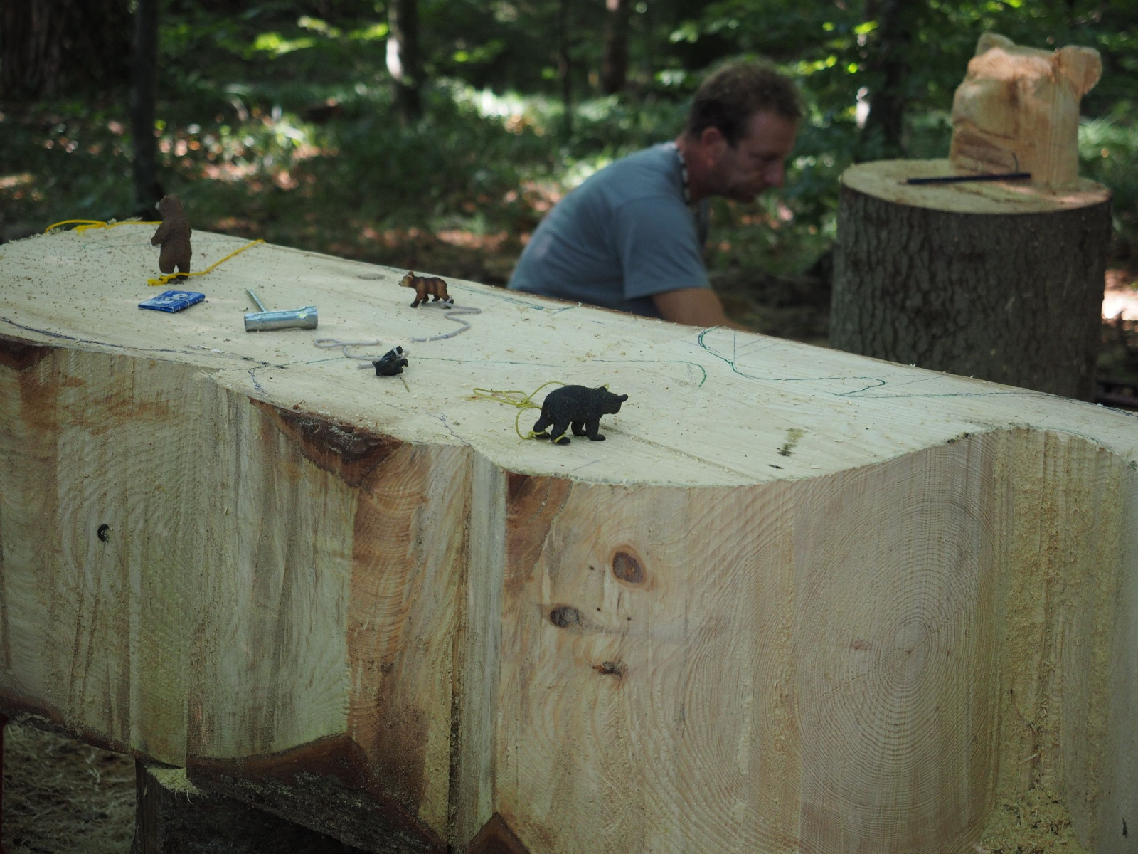 Sitzender baer 62 20160911 1689640200